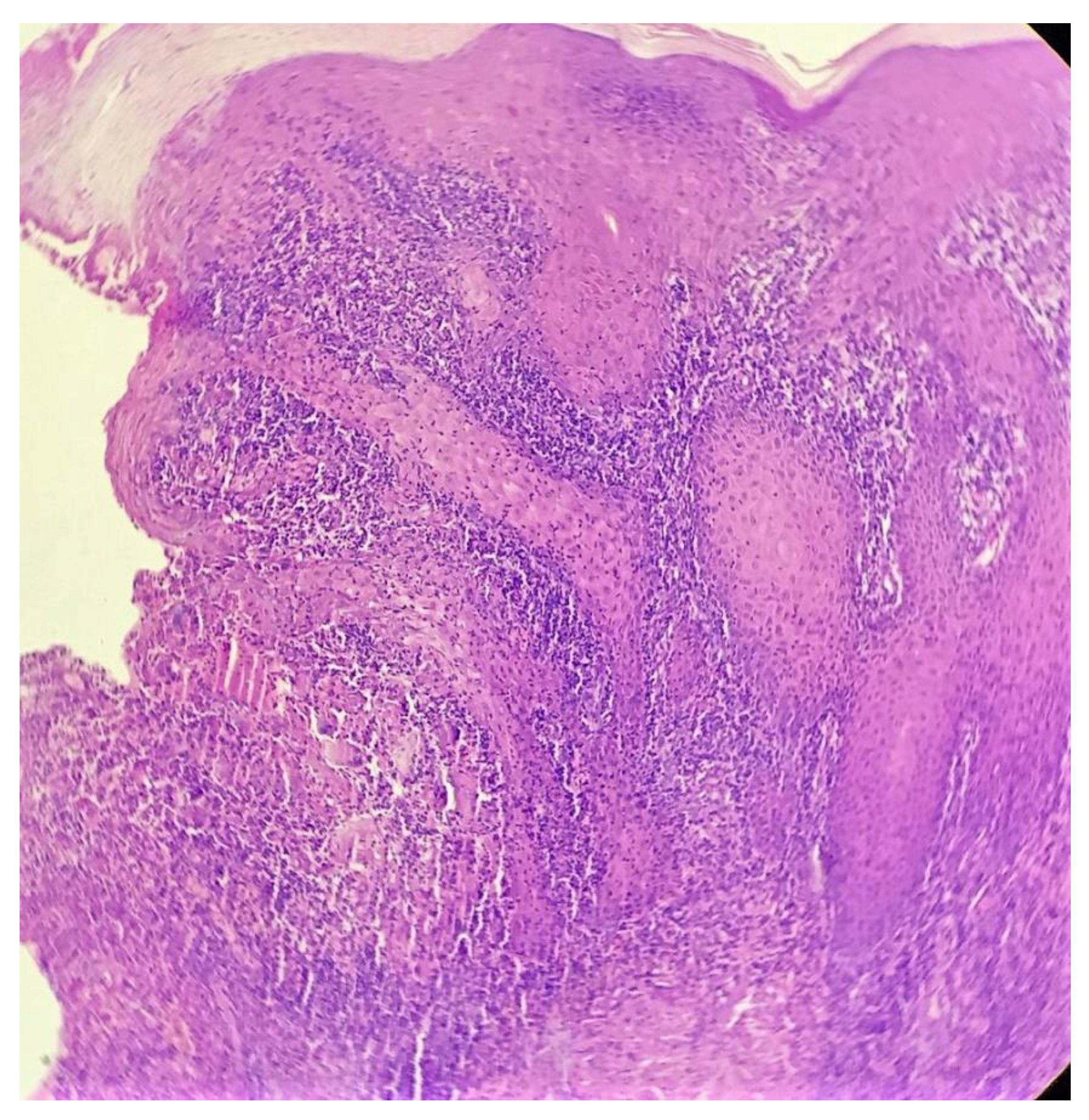 Dermatopathology 09 00016 g003