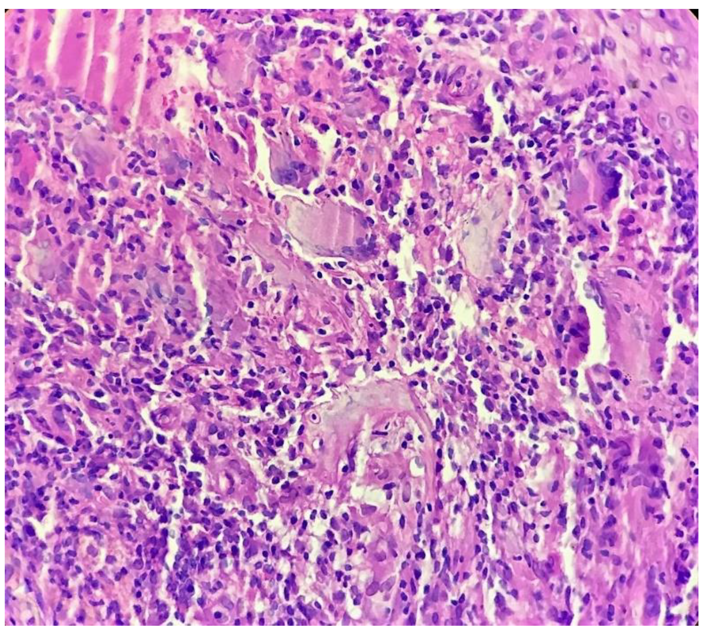 Dermatopathology 09 00016 g004