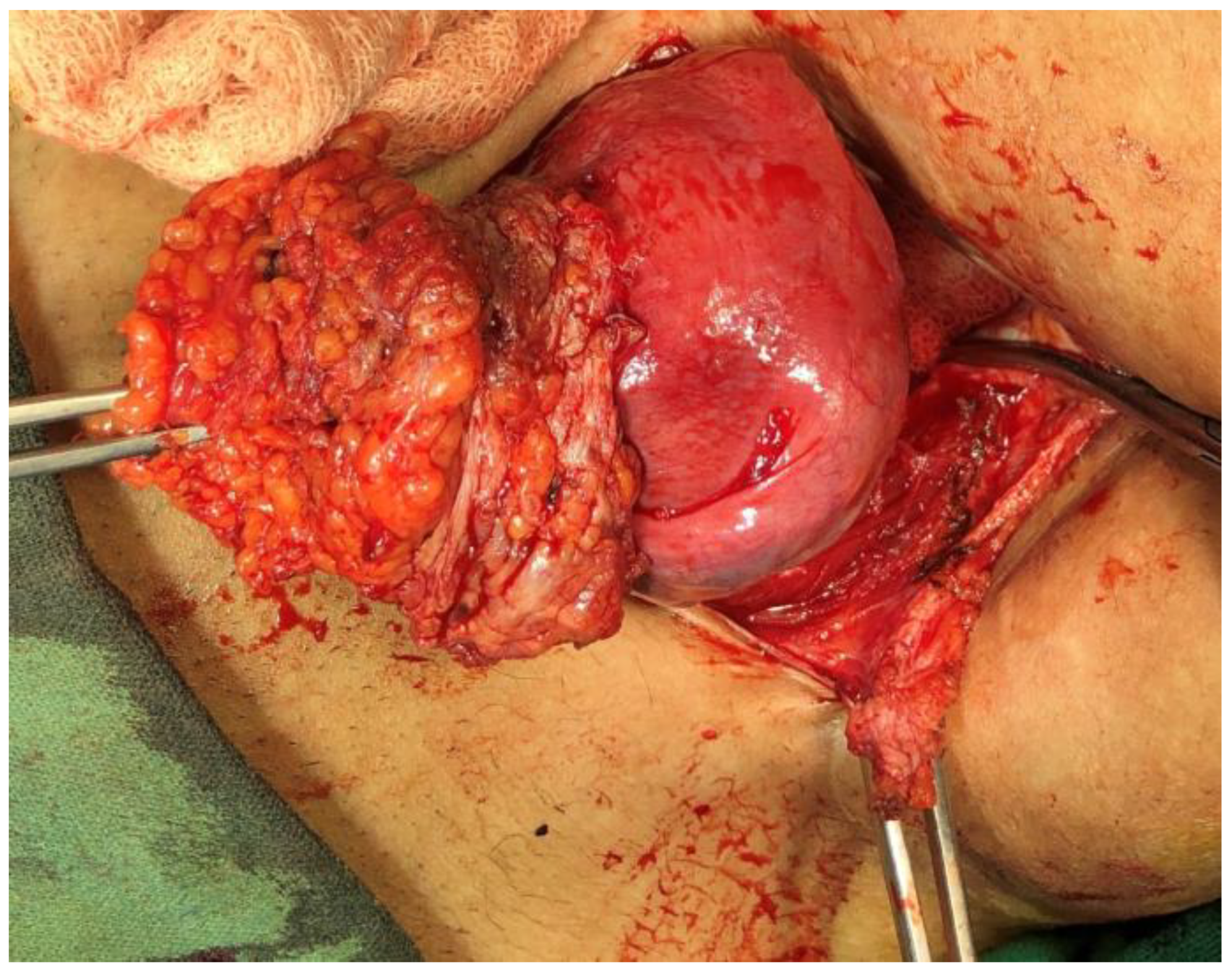 Dermatopathology 09 00020 g001