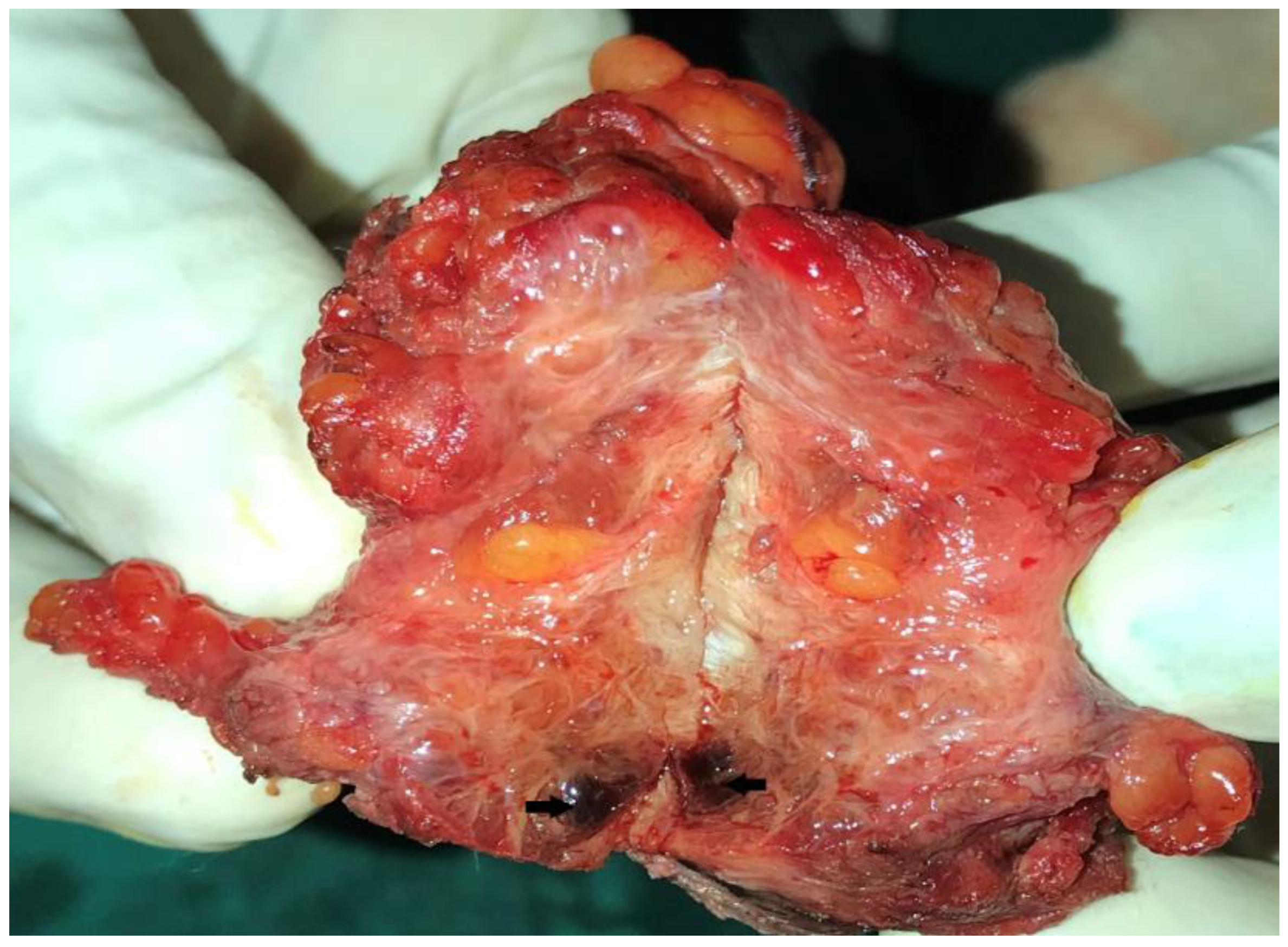 Dermatopathology 09 00020 g003