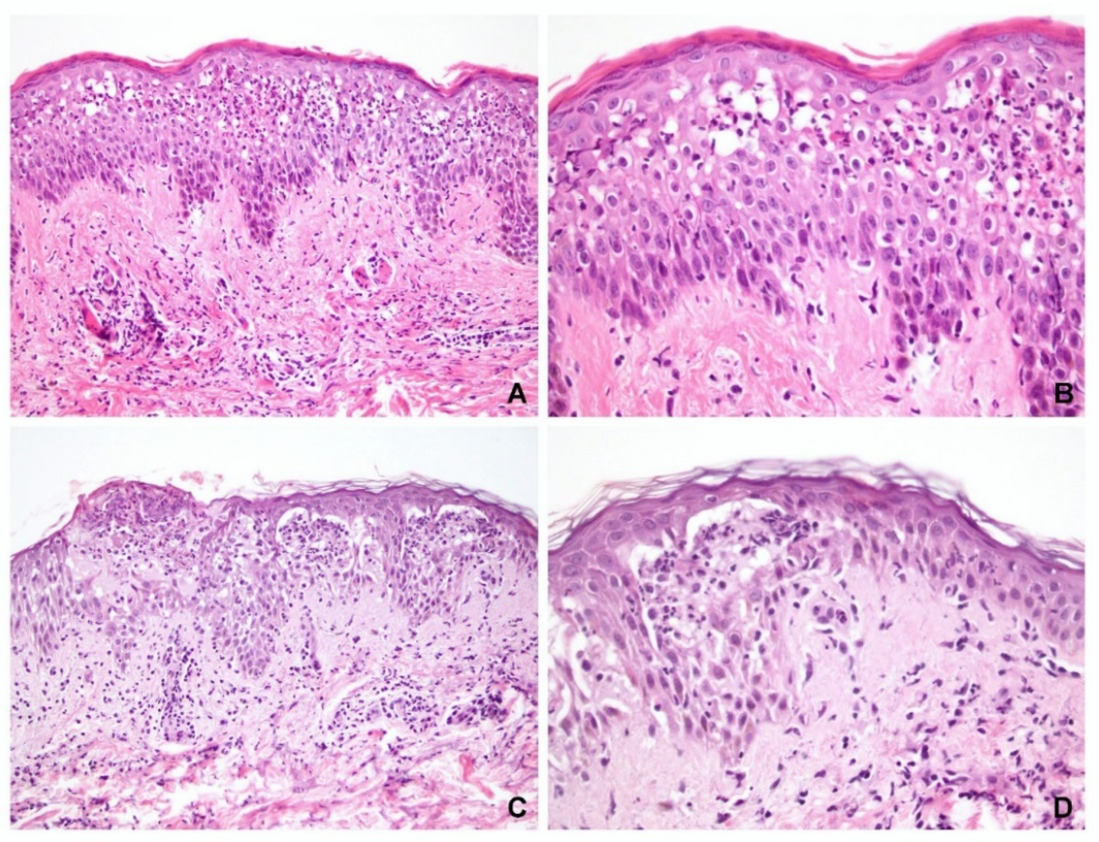 Dermatopathology 09 00022 g001