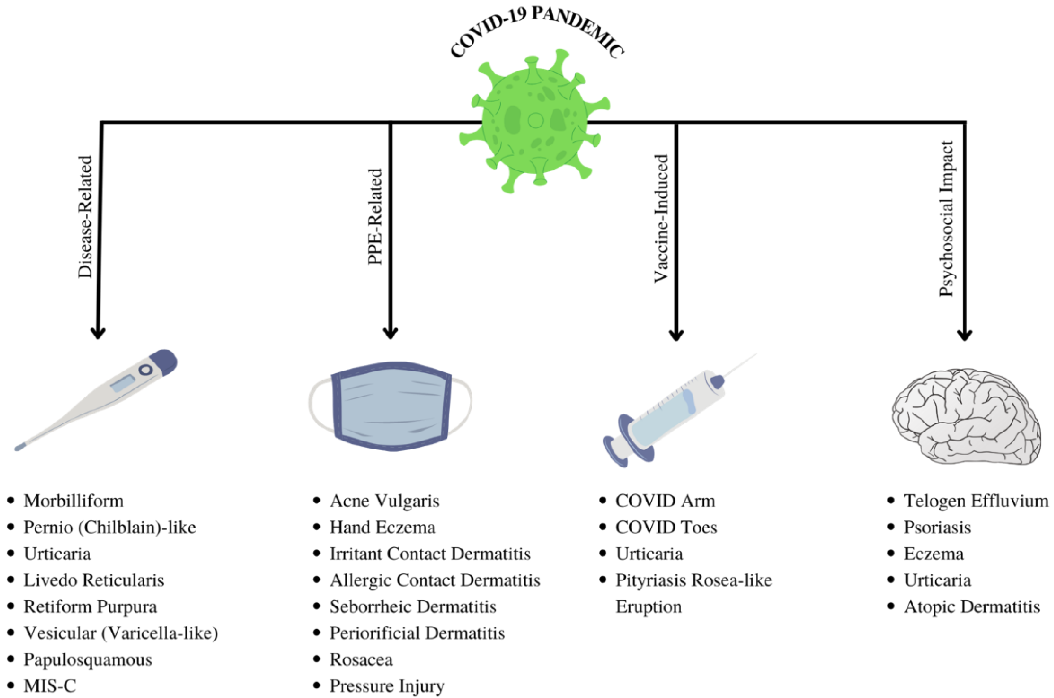 Dermatopathology 09 00027 g001 Dermatopathology 09 00027 g001