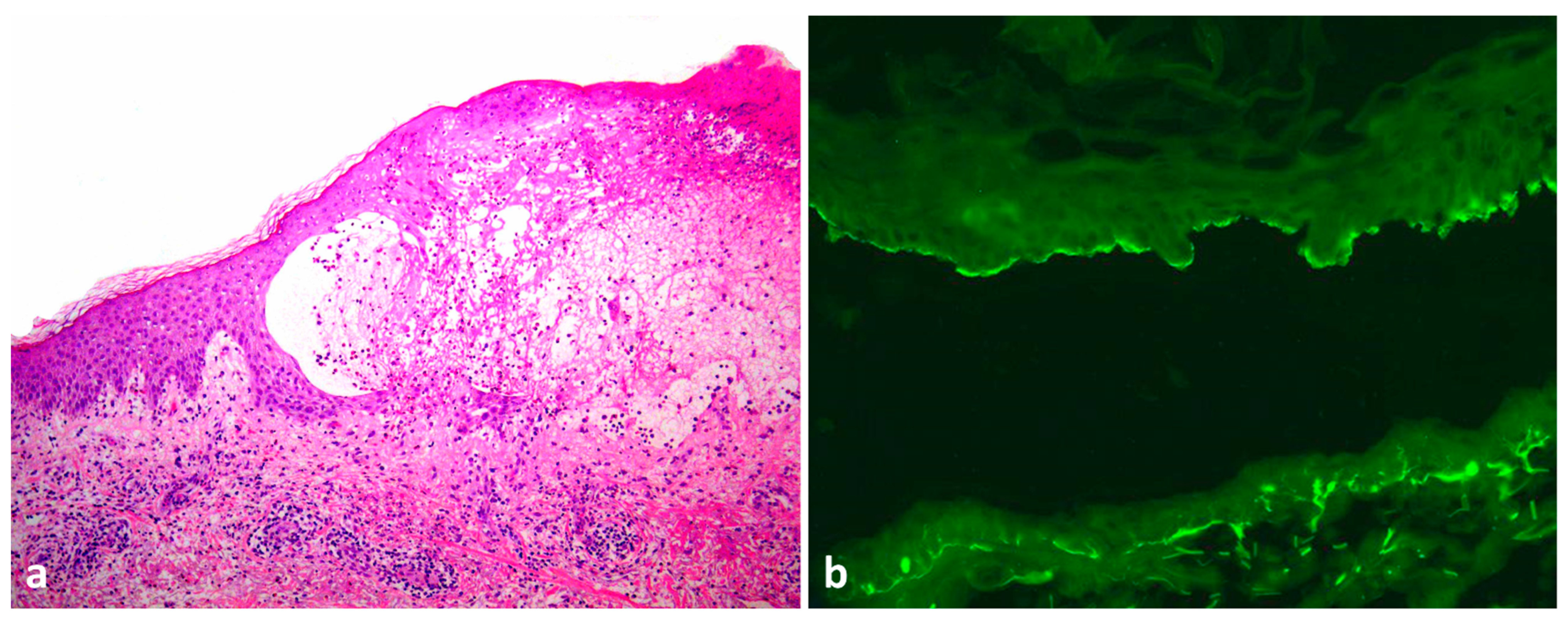 Dermatopathology 09 00033 g002