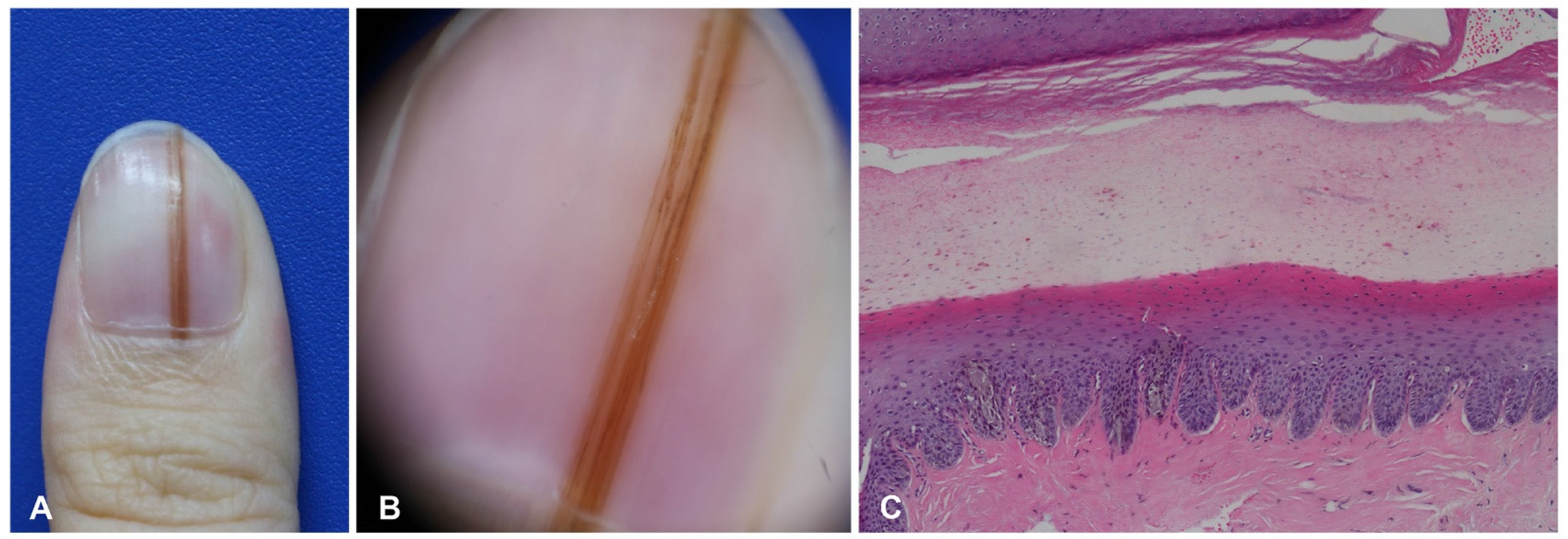 Dermatopathology 09 00035 g002