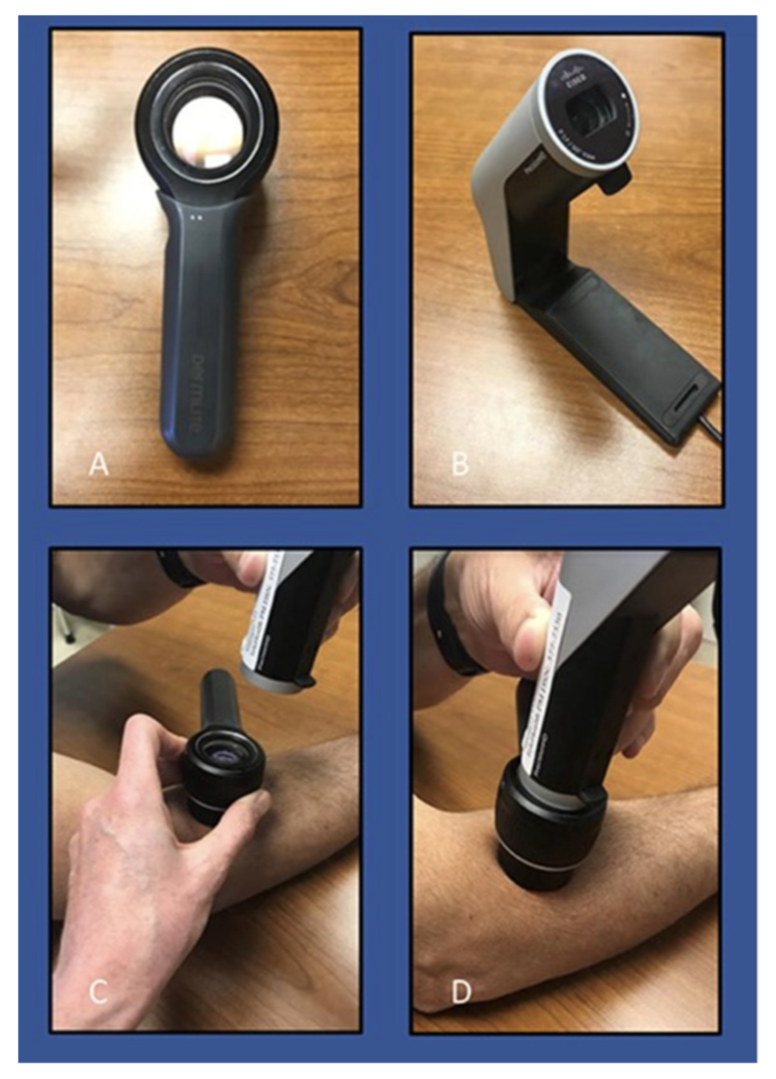 Dermatopathology 09 00039 g002