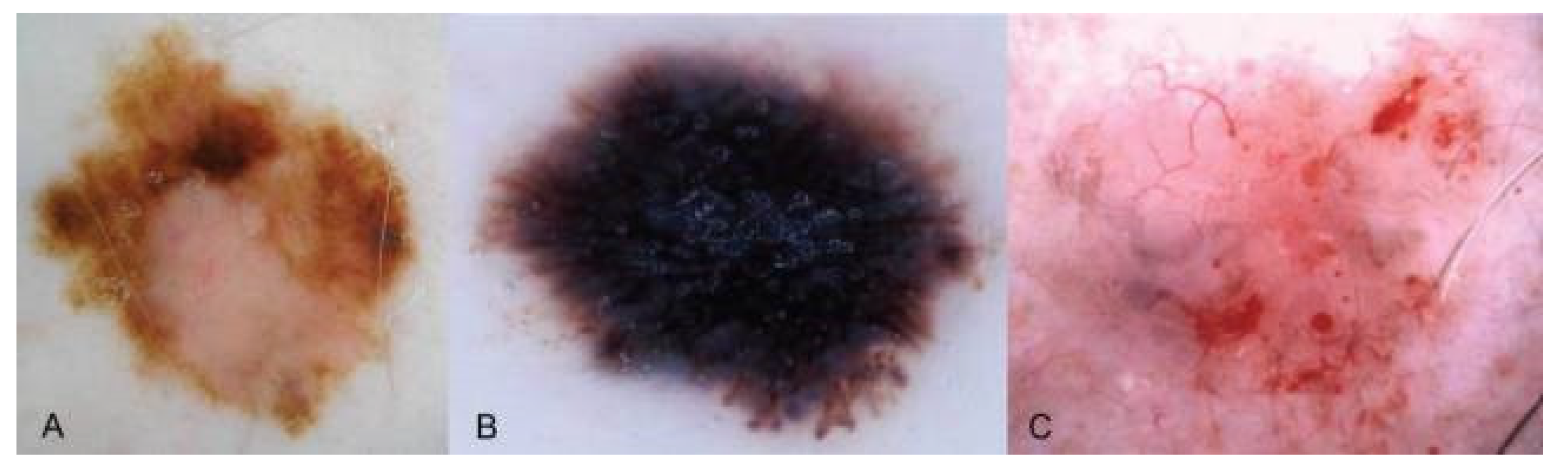 Dermatopathology 09 00039 g003