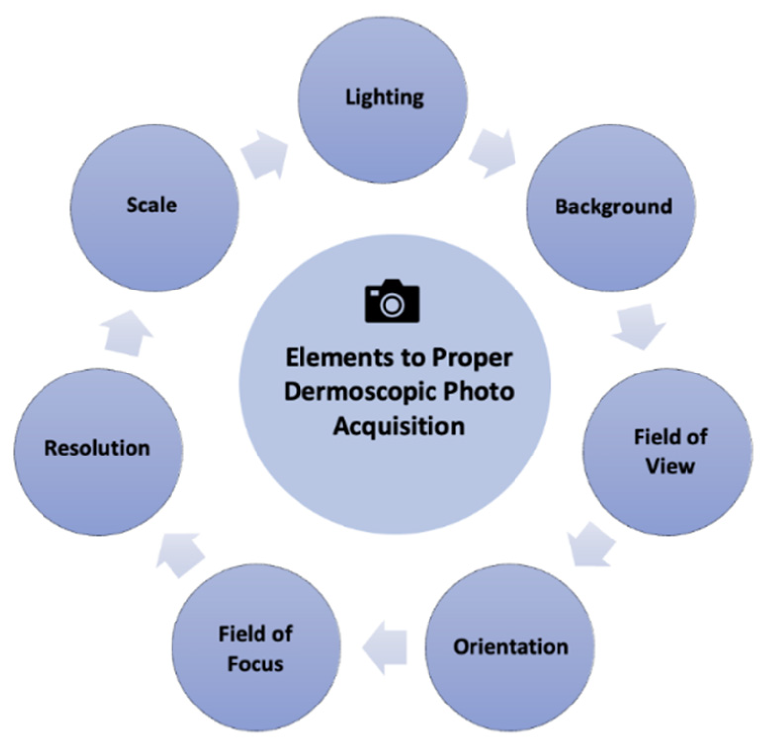 Dermatopathology 09 00039 g004