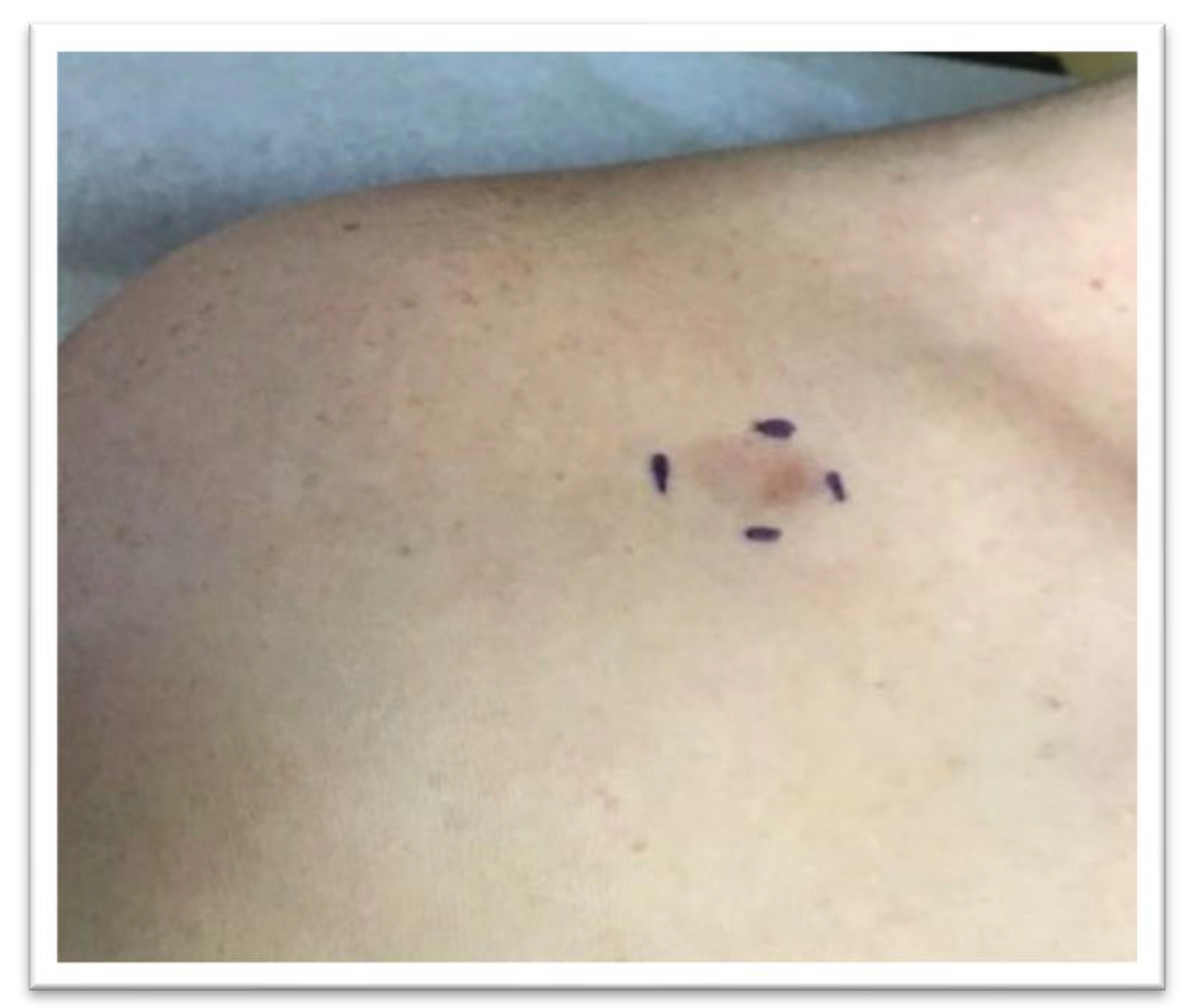 Dermatopathology 09 00044 g001