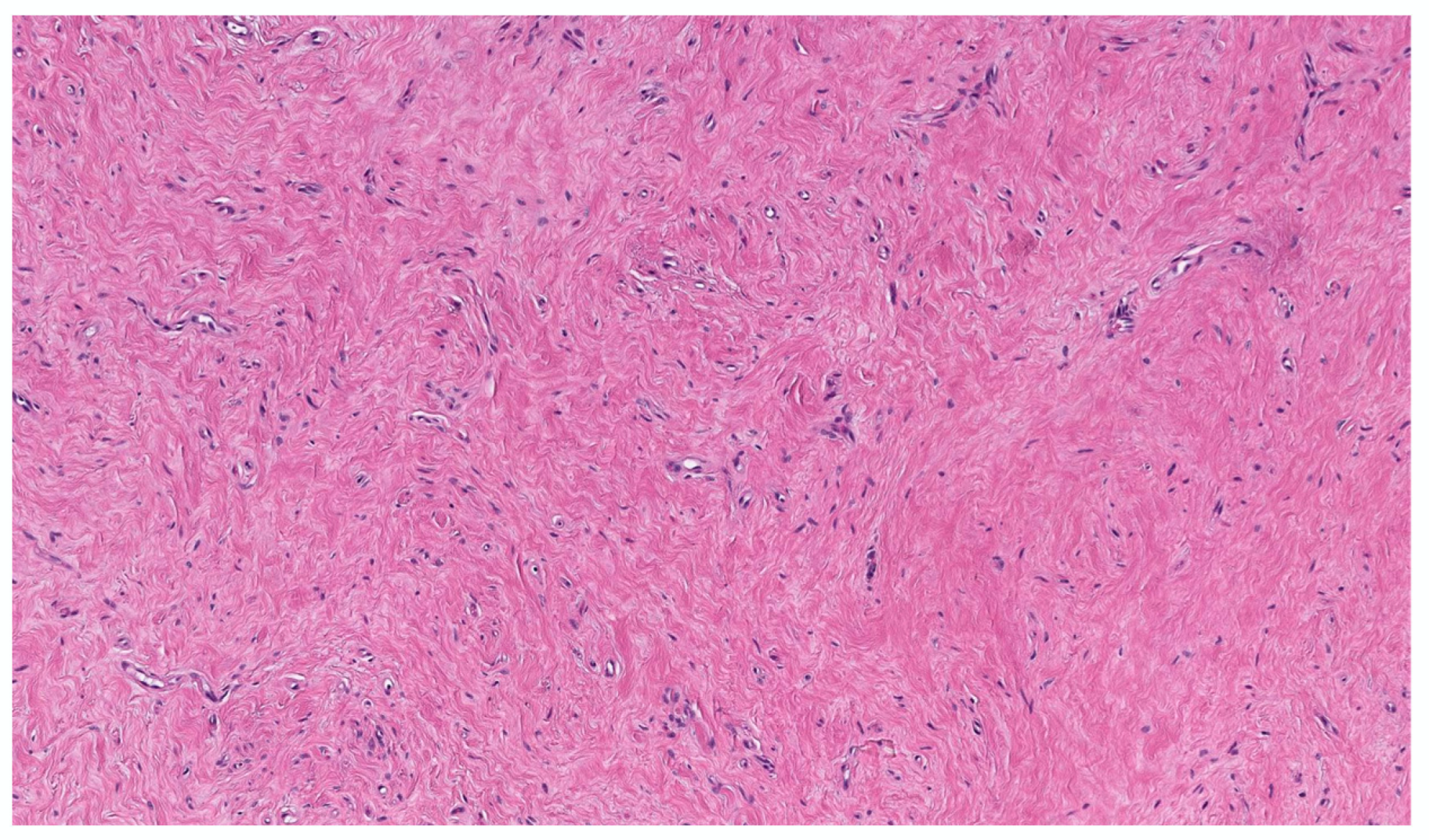 Dermatopathology 10 00001 g010 Dermatopathology 10 00001 g010