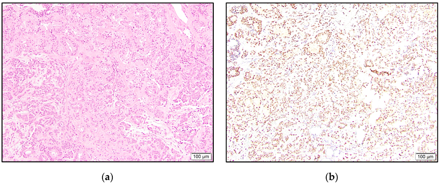 Dermatopathology 10 00011 g001