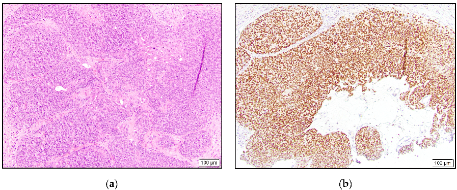 Dermatopathology 10 00011 g002