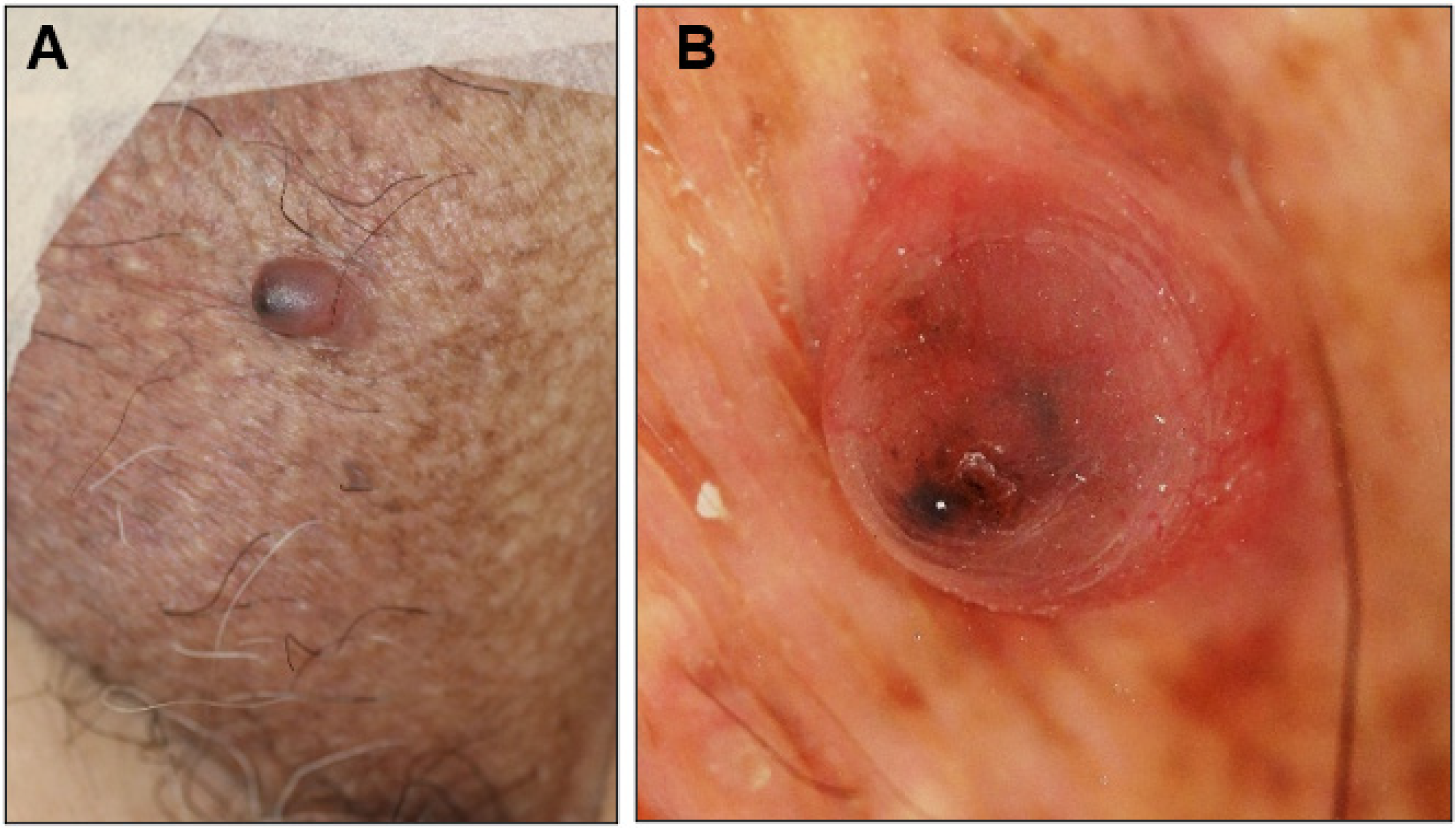 Dermatopathology 10 00019 g001