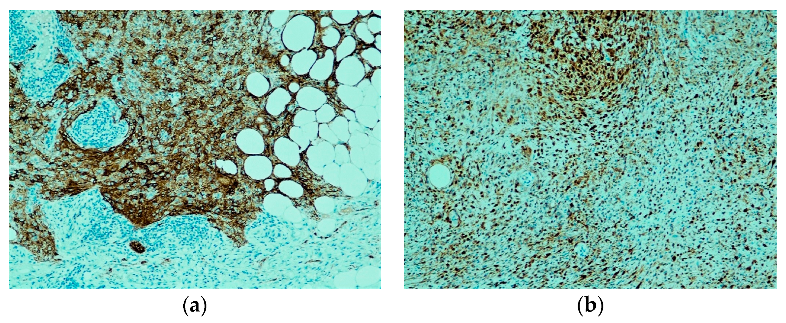 Dermatopathology 10 00030 g002