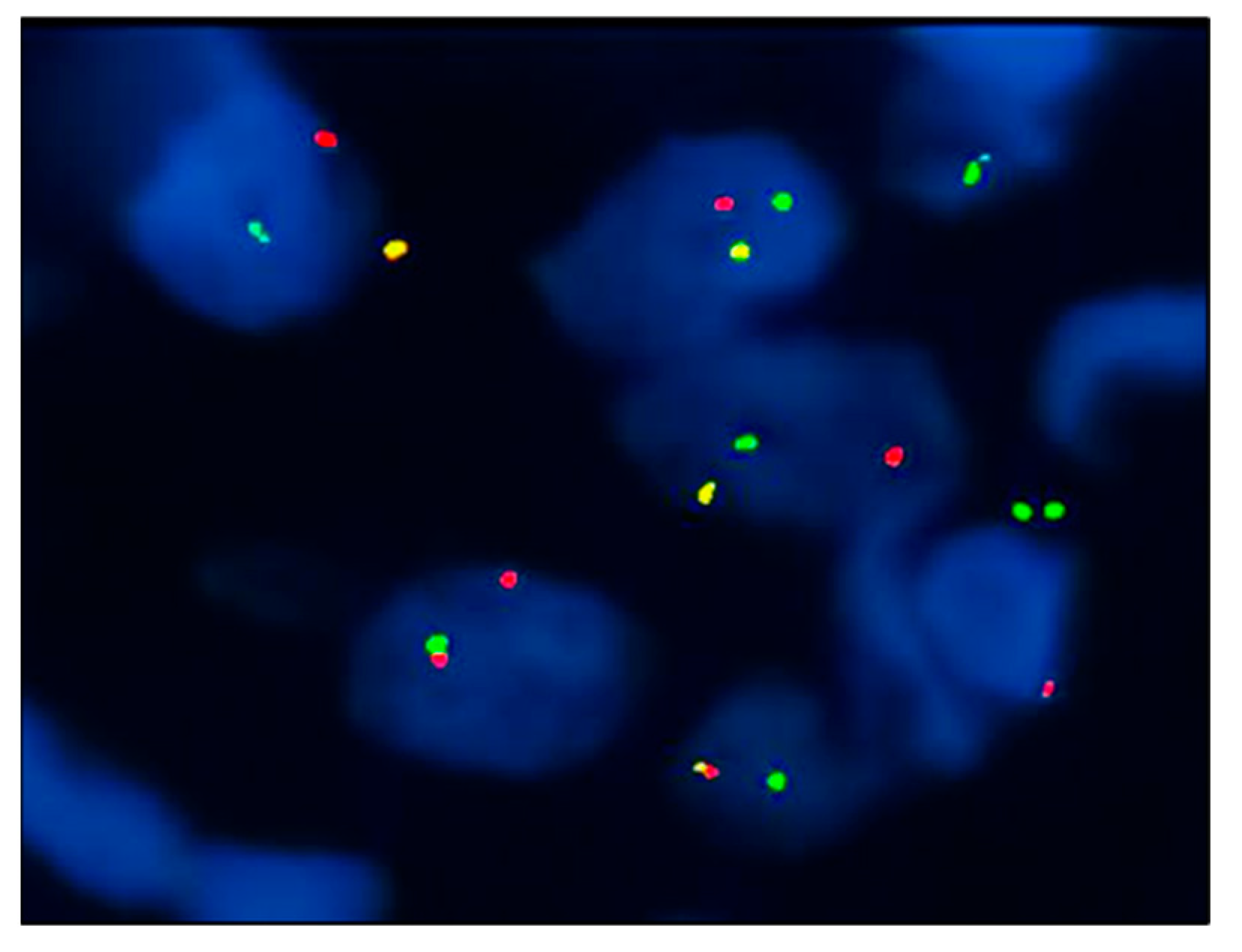 Dermatopathology 10 00034 g004
