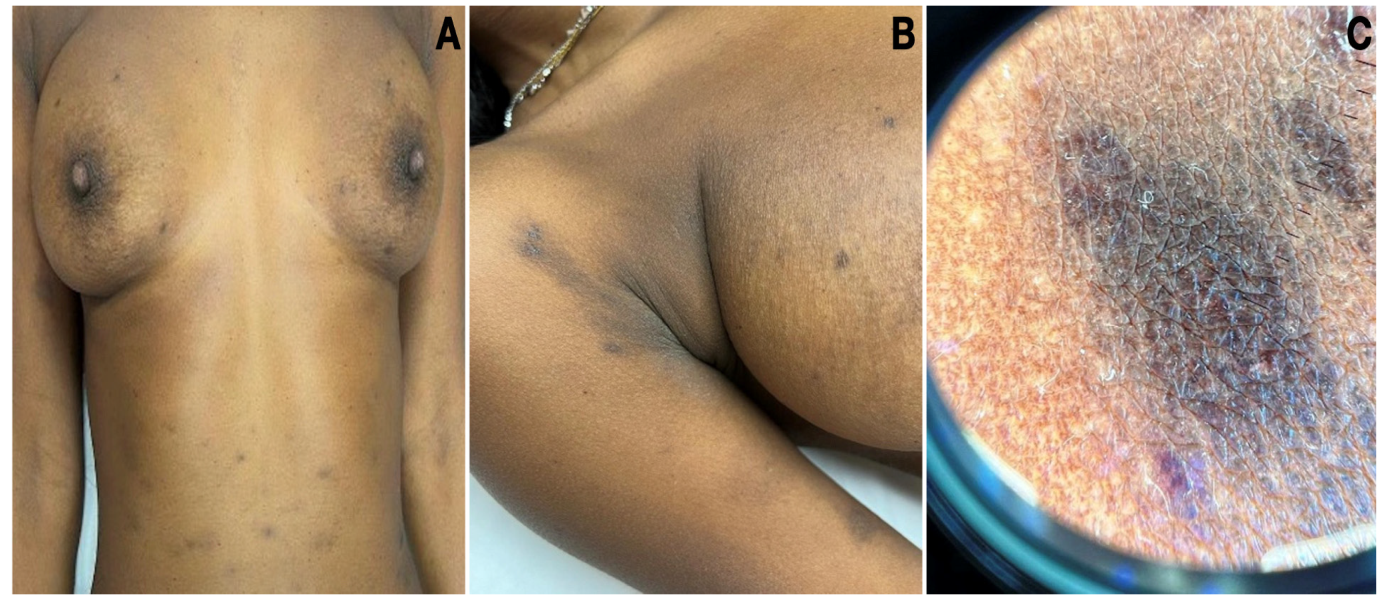 Dermatopathology 10 00036 g001