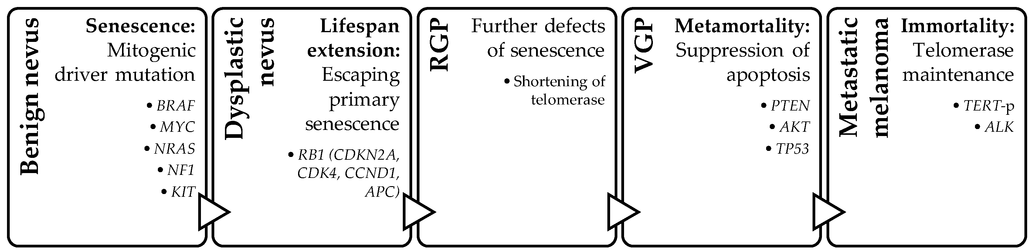 Dermatopathology 11 00005 g001