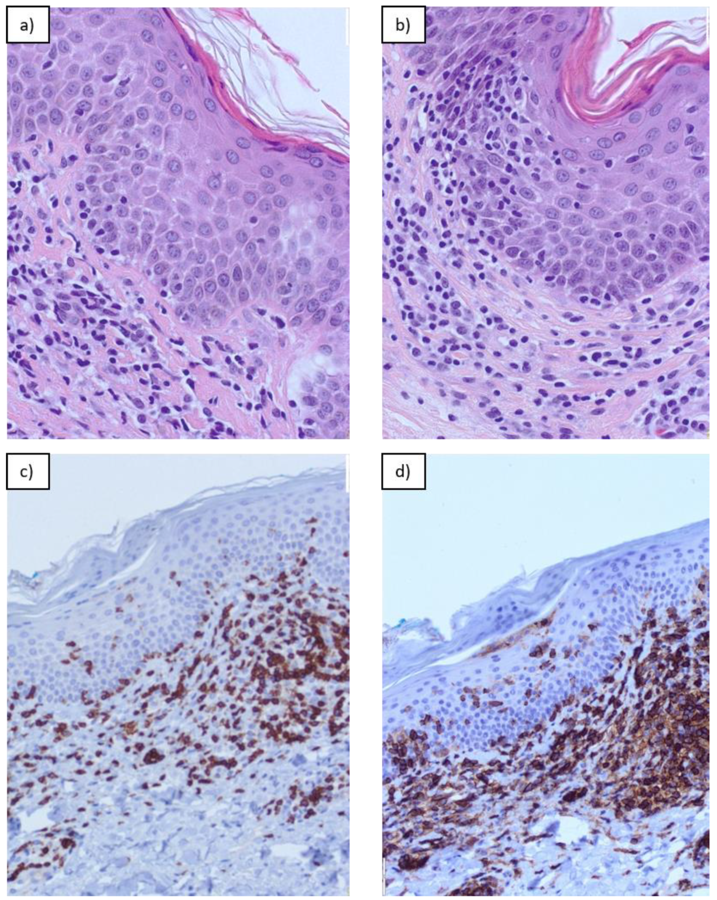 Dermatopathology 11 00017 g001