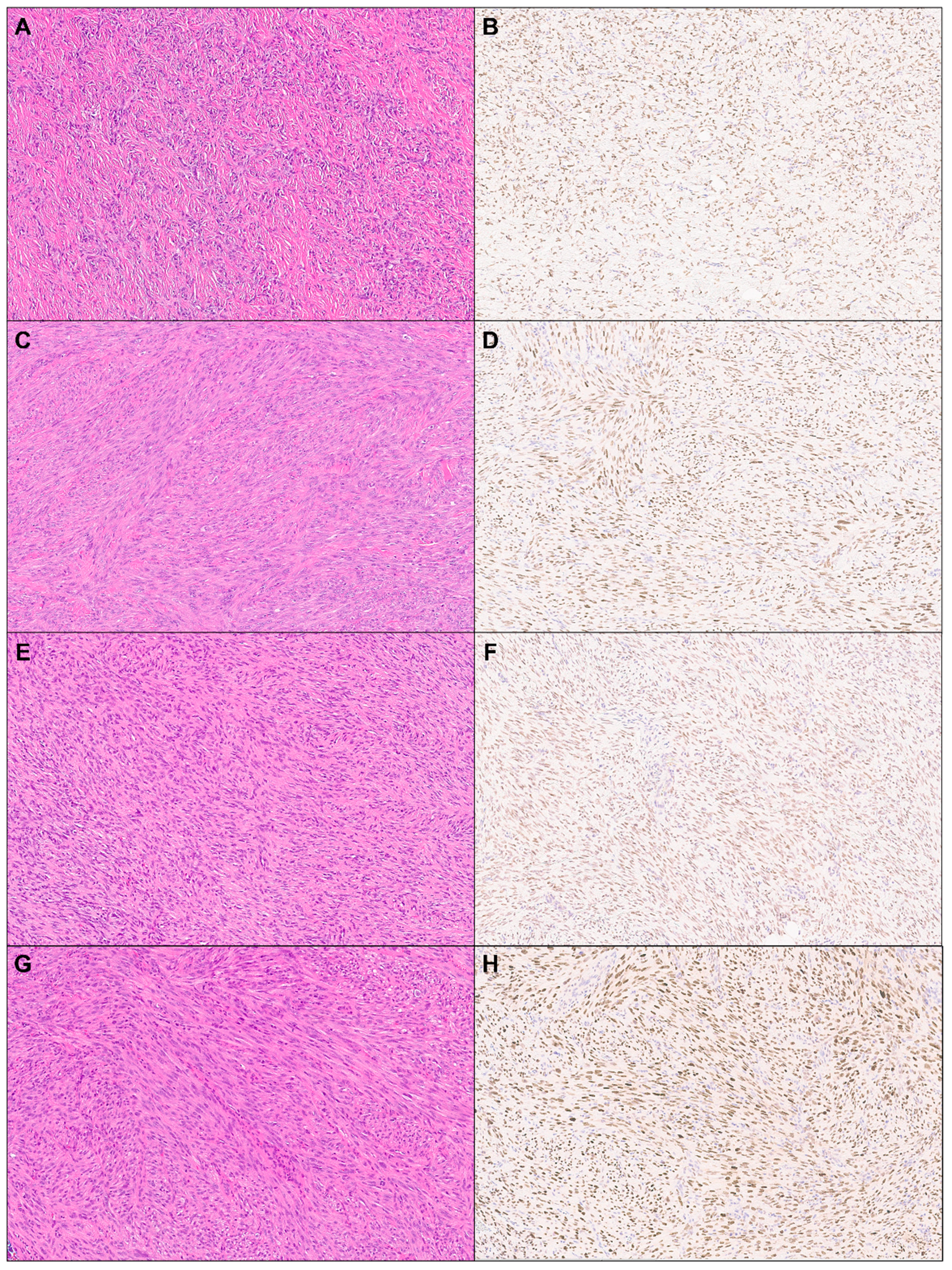 Dermatopathology 11 00021 g001