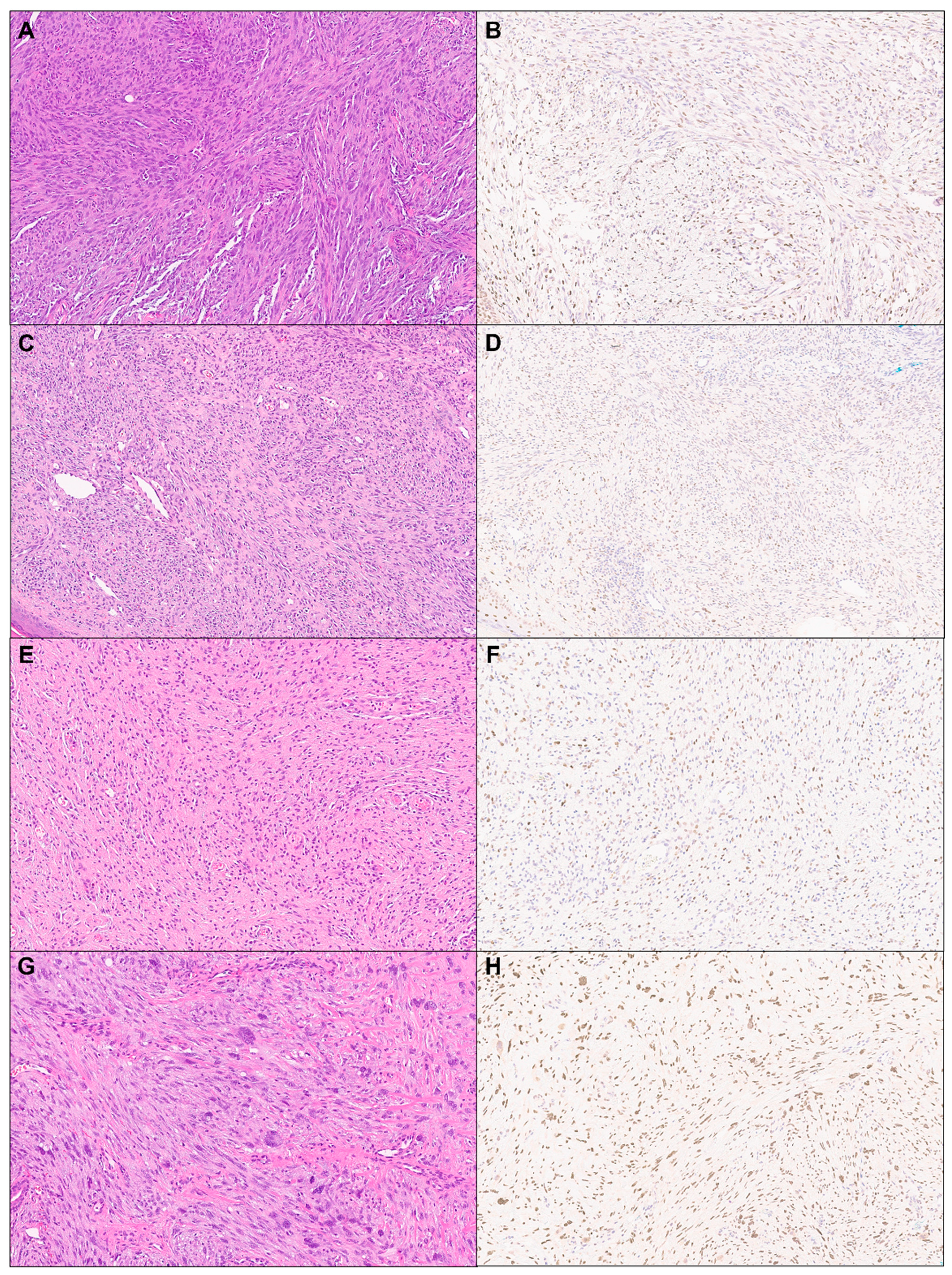 Dermatopathology 11 00021 g002