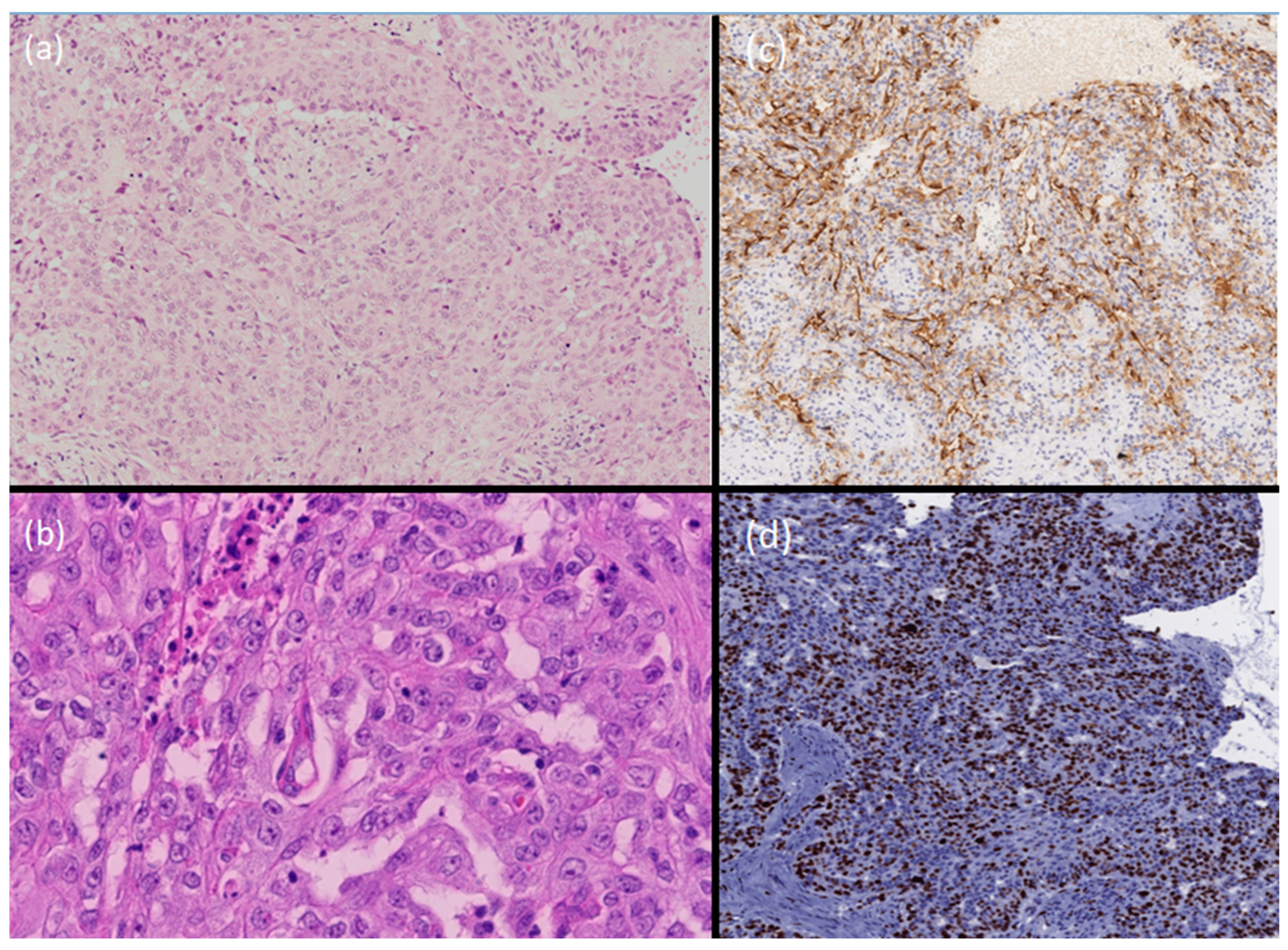 Dermatopathology 11 00028 g002