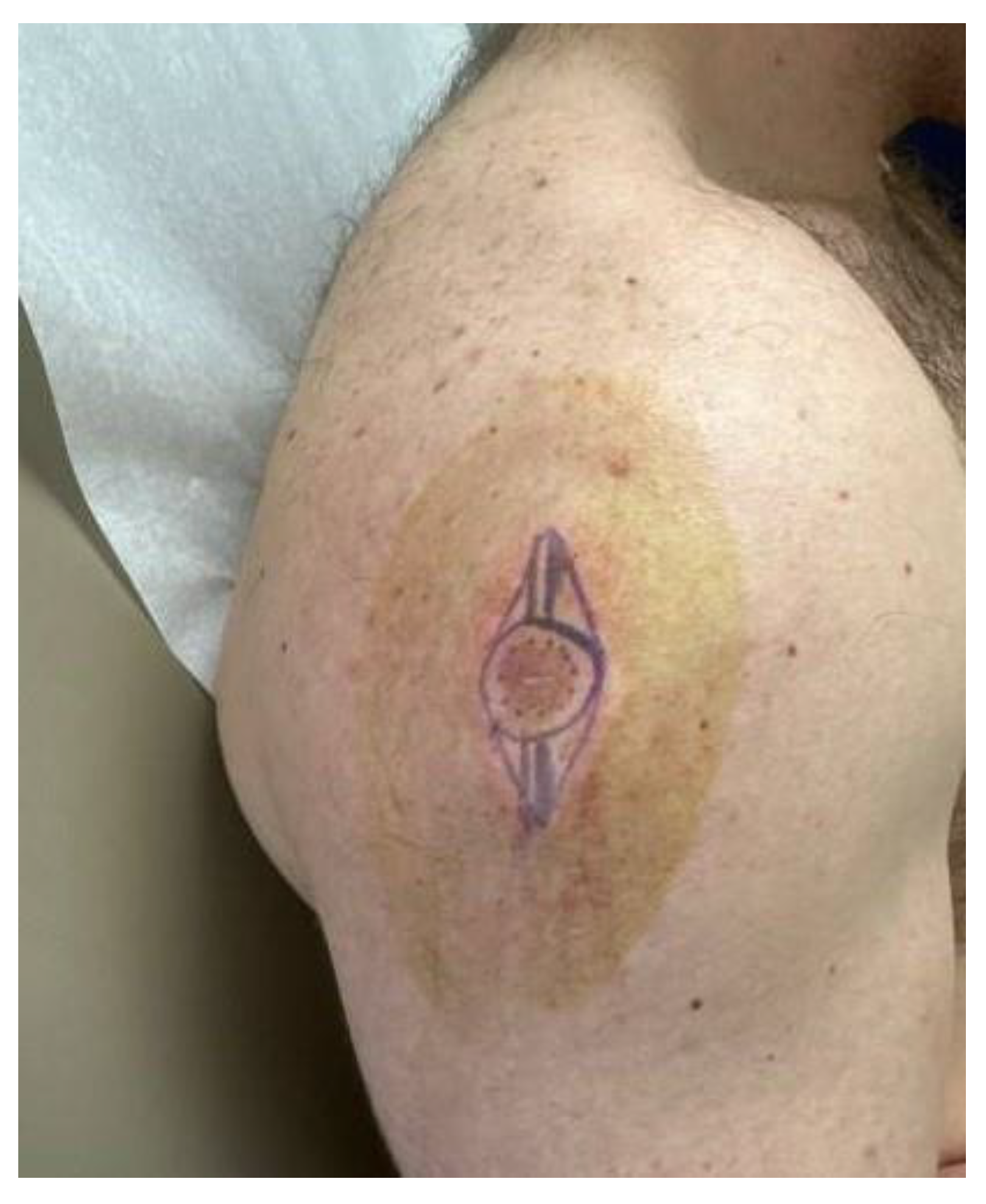 Dermatopathology 11 00036 g001 Dermatopathology 11 00036 g001