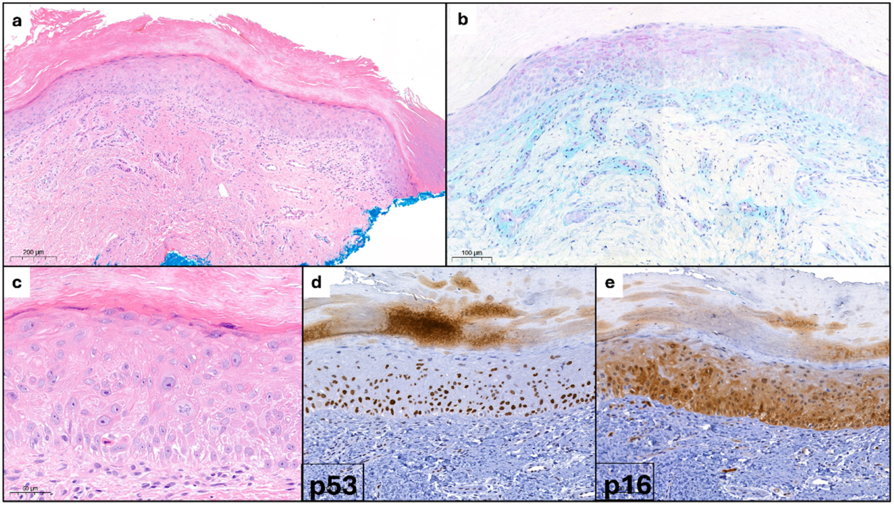 Dermatopathology 12 00011 g002