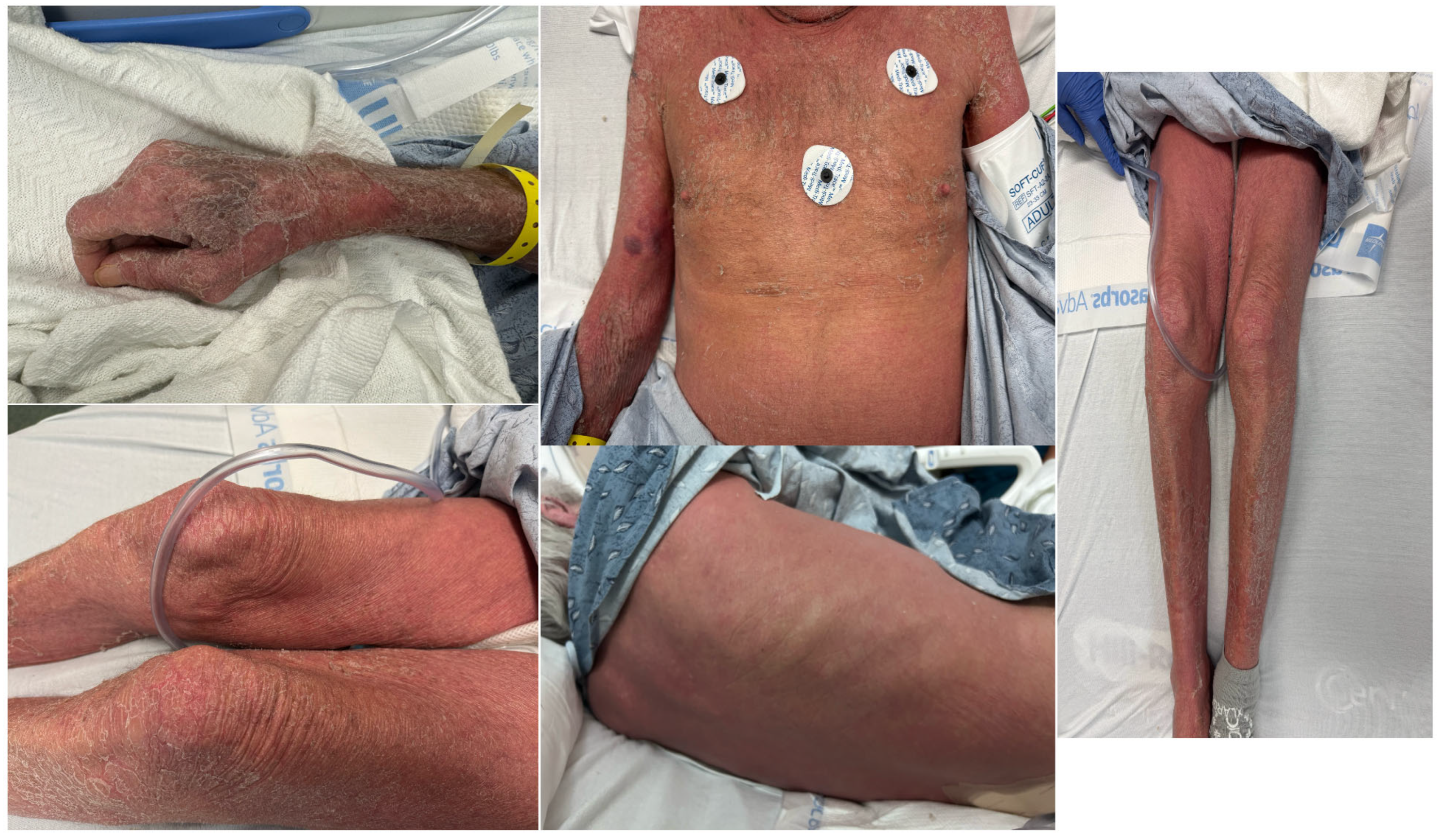 Dermatopathology 12 00017 g001