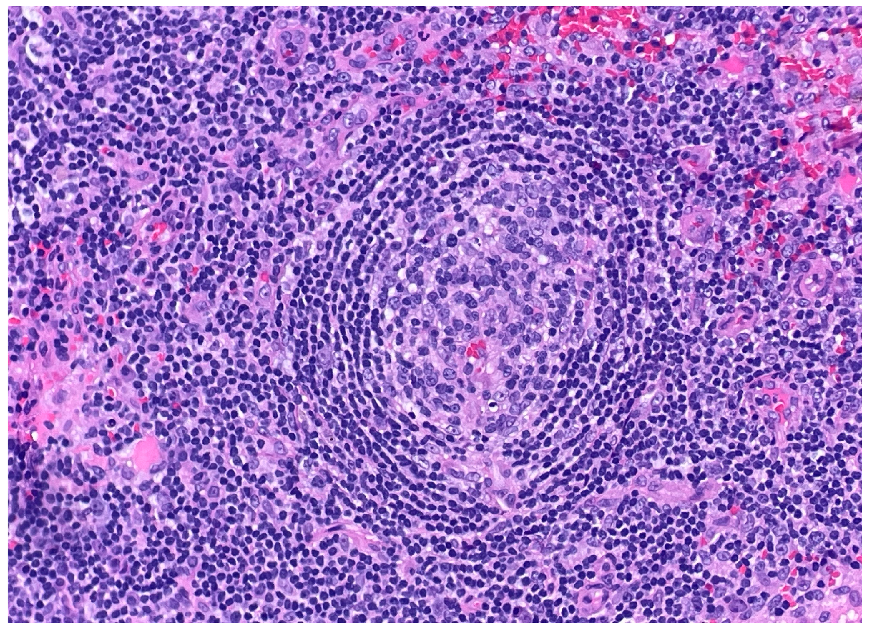 Dermatopathology 12 00033 g002 Dermatopathology 12 00033 g002