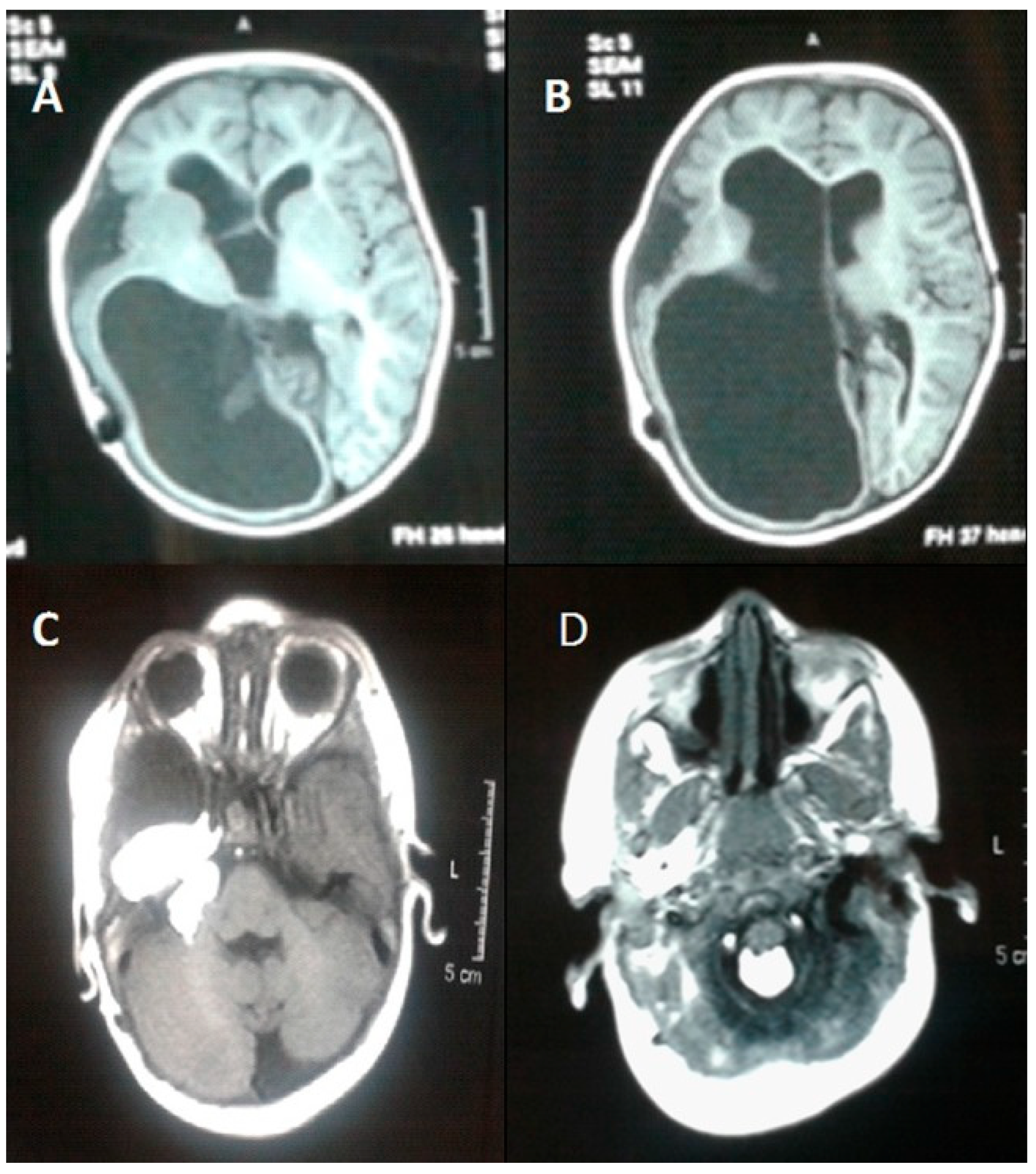 Dermatopathology 12 00039 g003