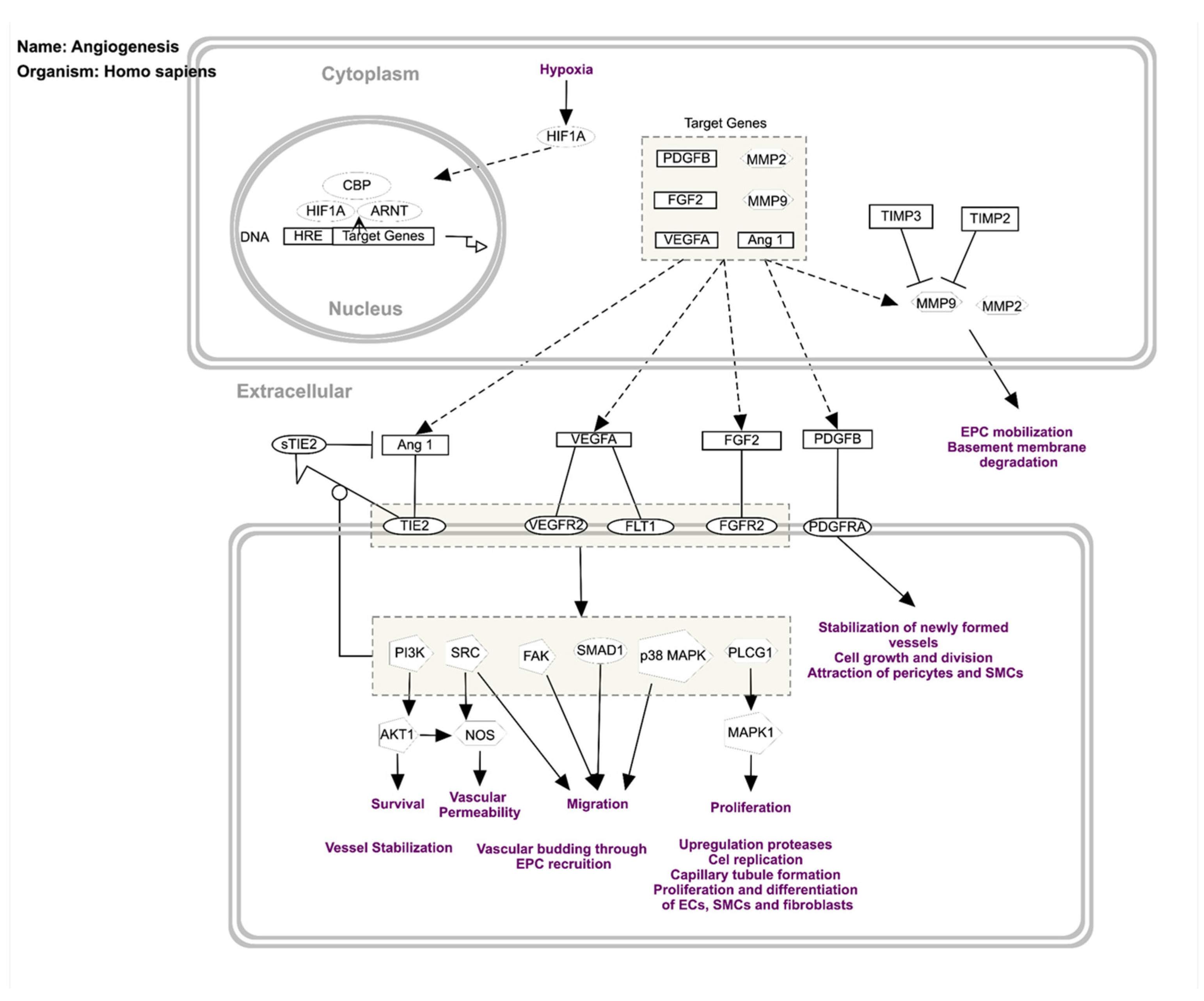 Dermatopathology 13 00002 g005 Dermatopathology 13 00002 g005