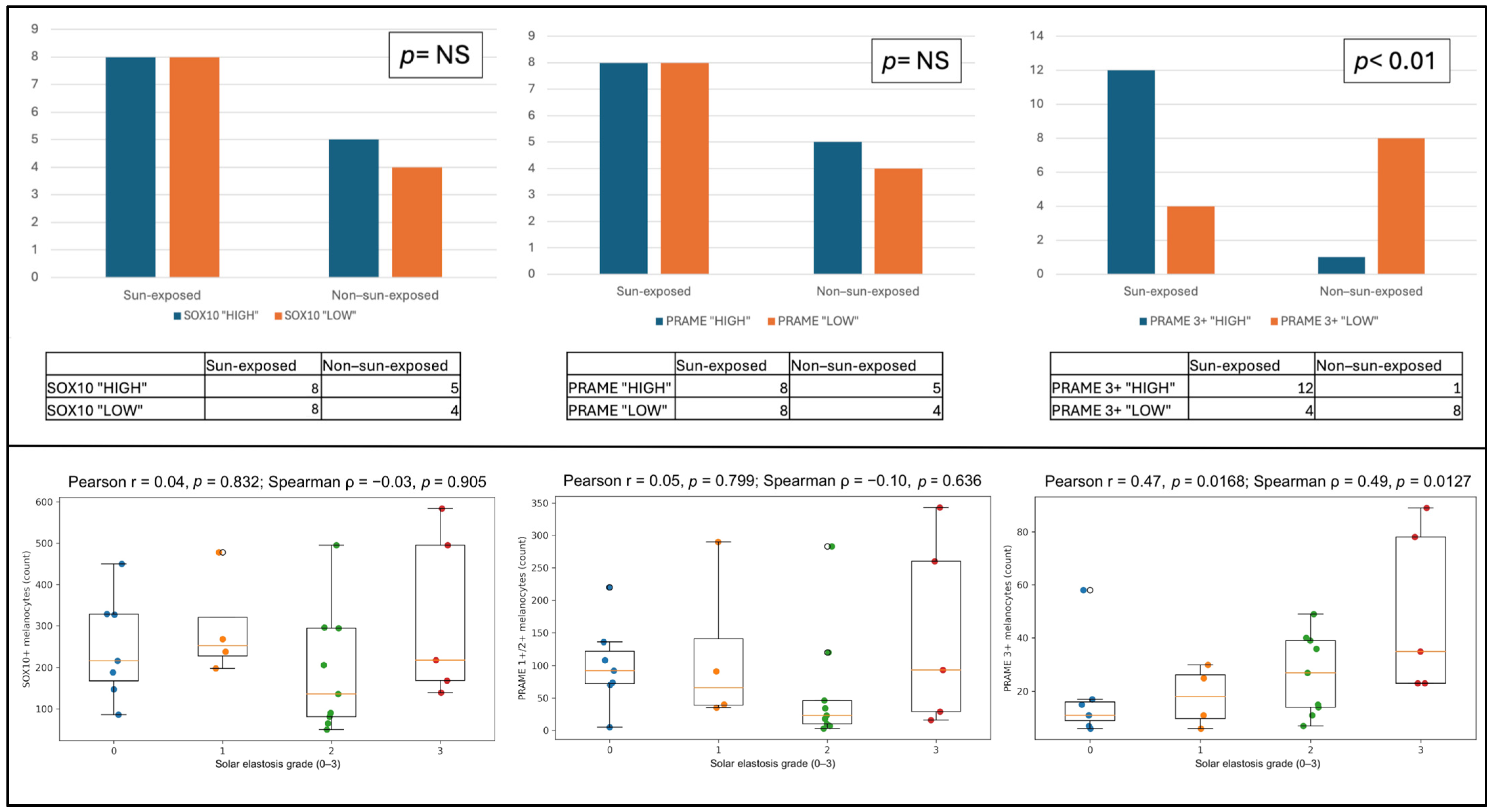Dermatopathology 13 00014 g002
