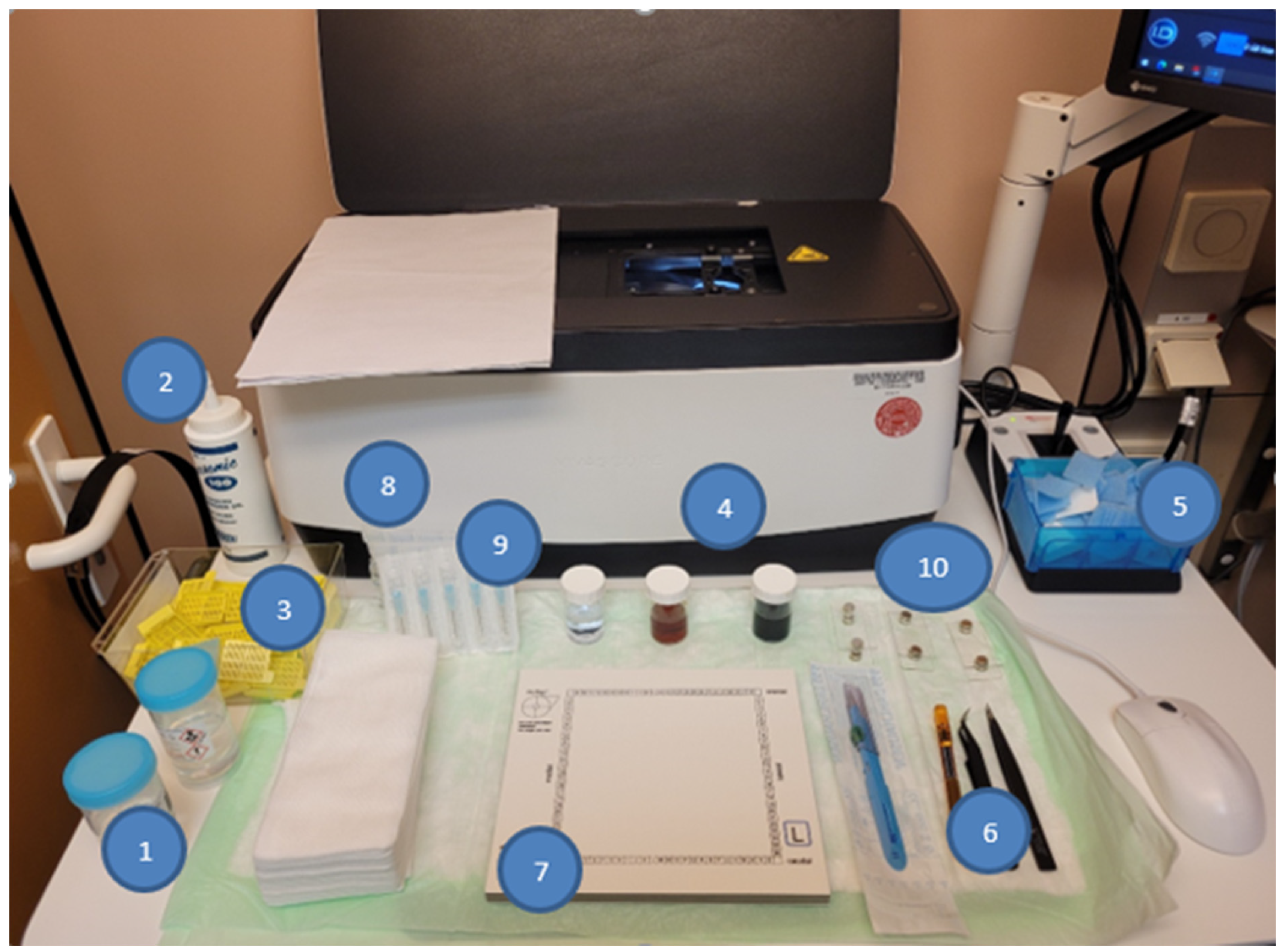 Dermatopathology 13 00038 g004 Dermatopathology 13 00038 g004