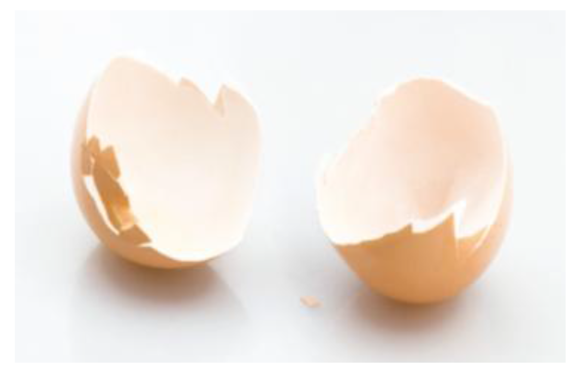 Designs 01 00011 g005