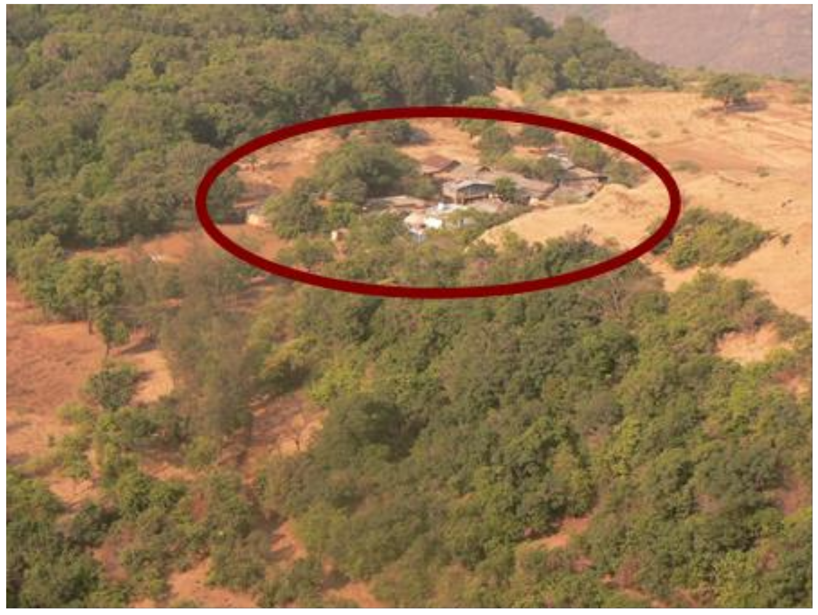 Designs 02 00033 g003