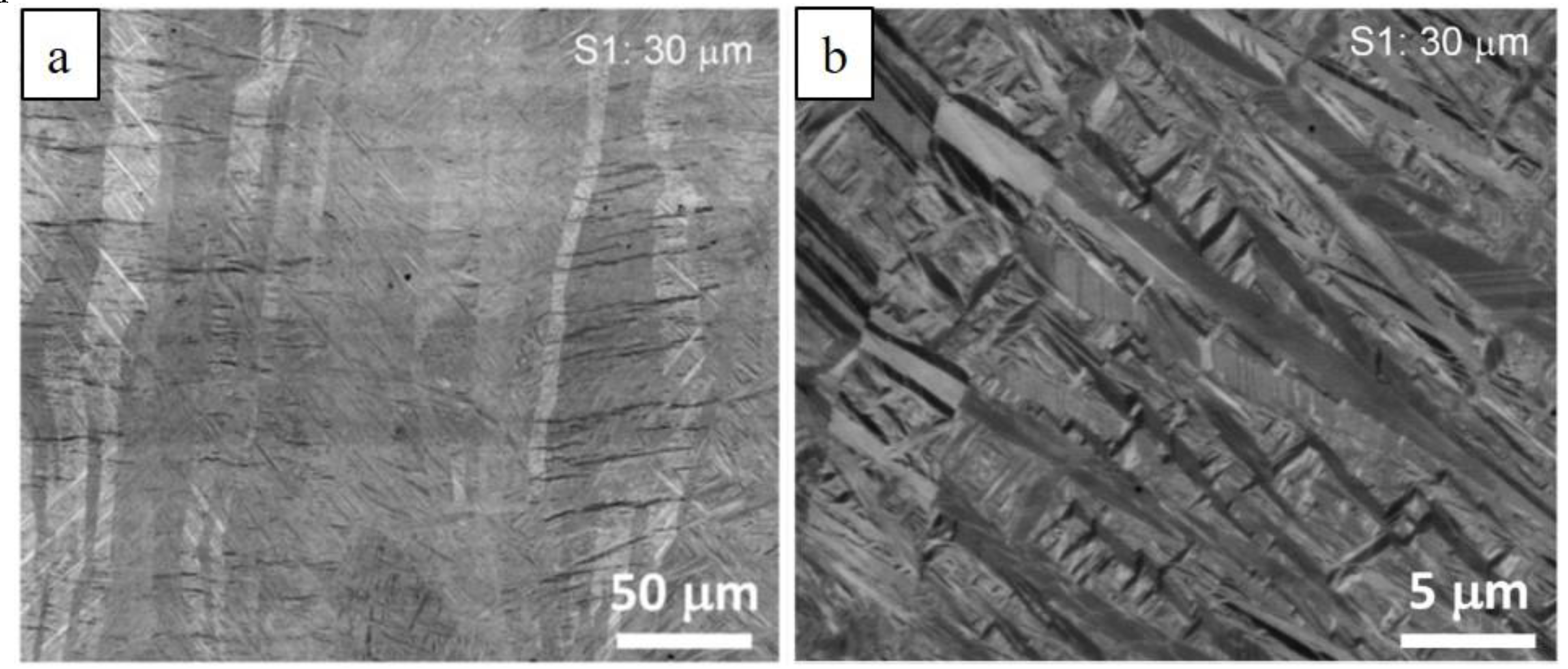 Designs 03 00021 g002