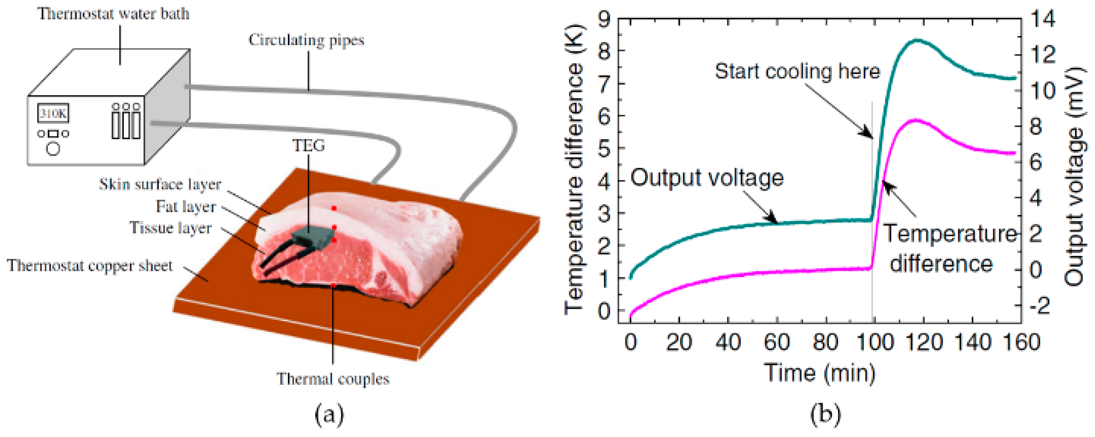 Designs 03 00022 g015