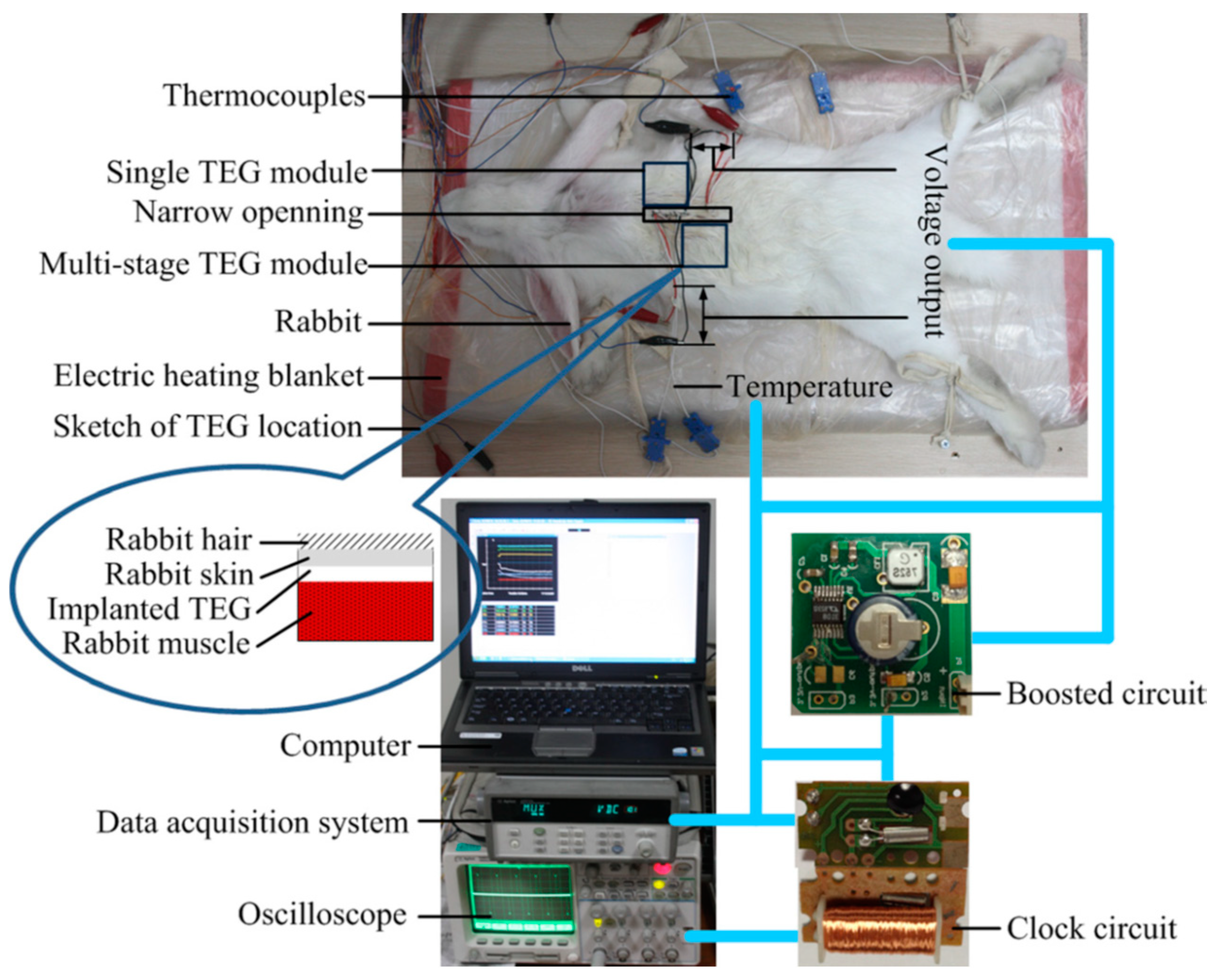 Designs 03 00022 g016