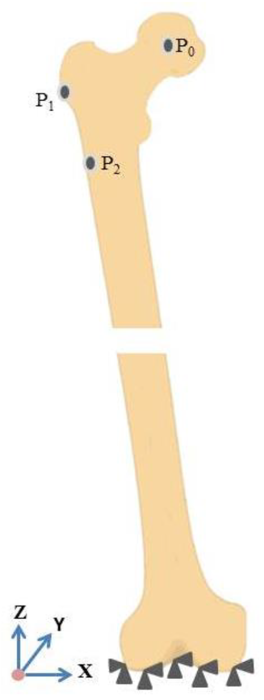 Designs 04 00012 g006