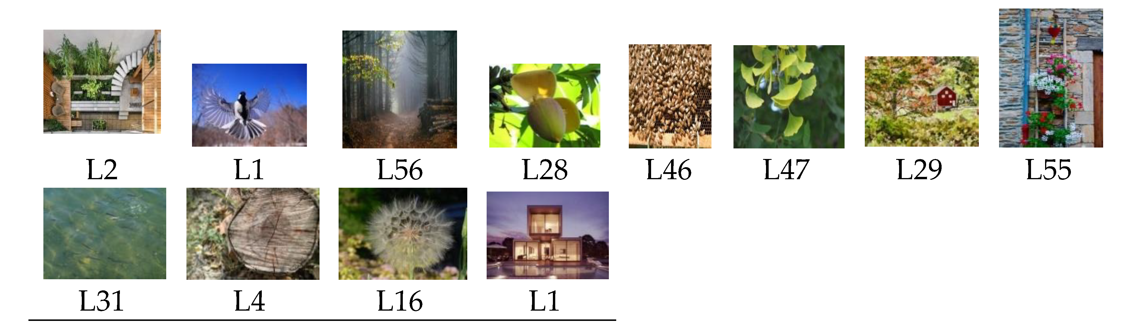 Designs 04 00021 g005