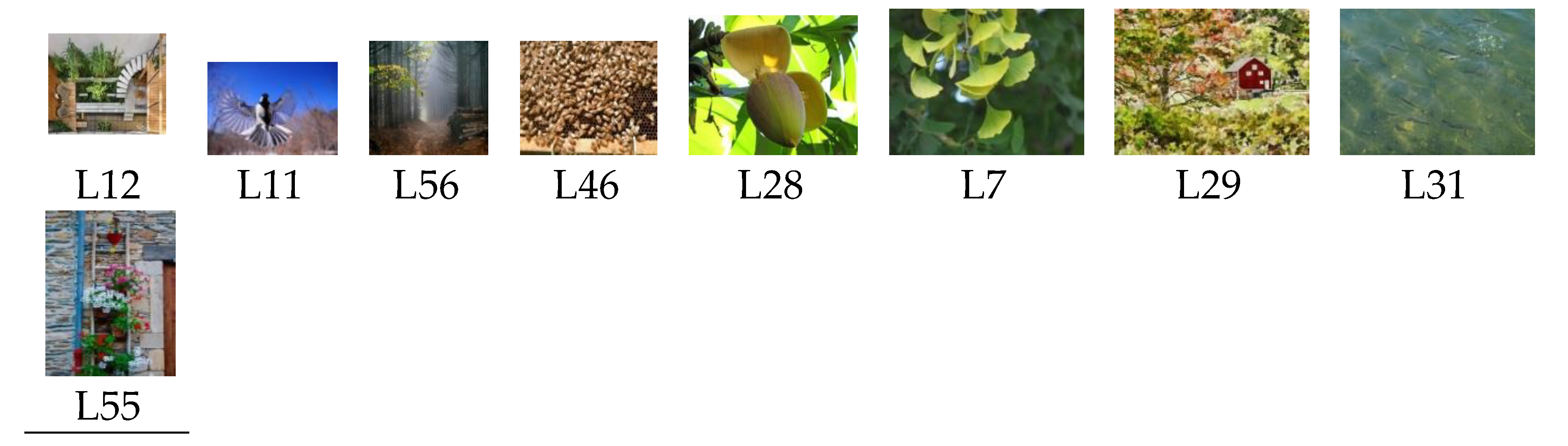 Designs 04 00021 g007