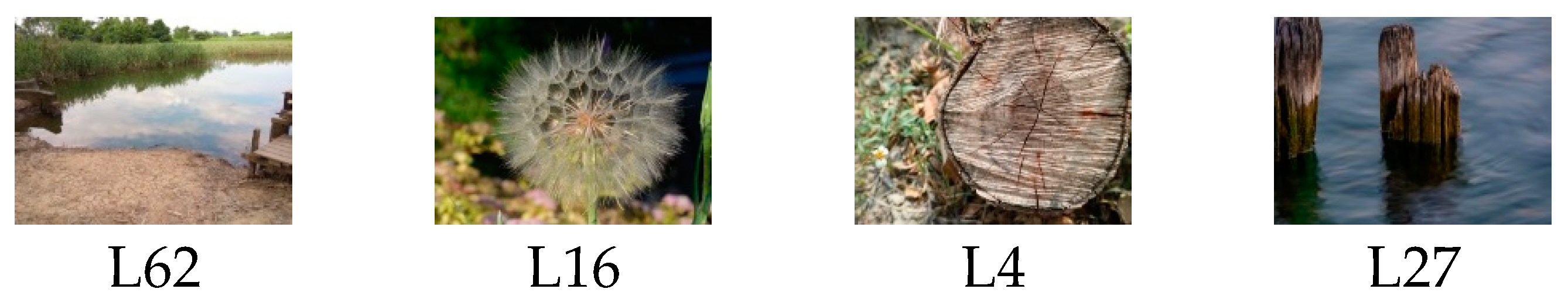 Designs 04 00021 g008