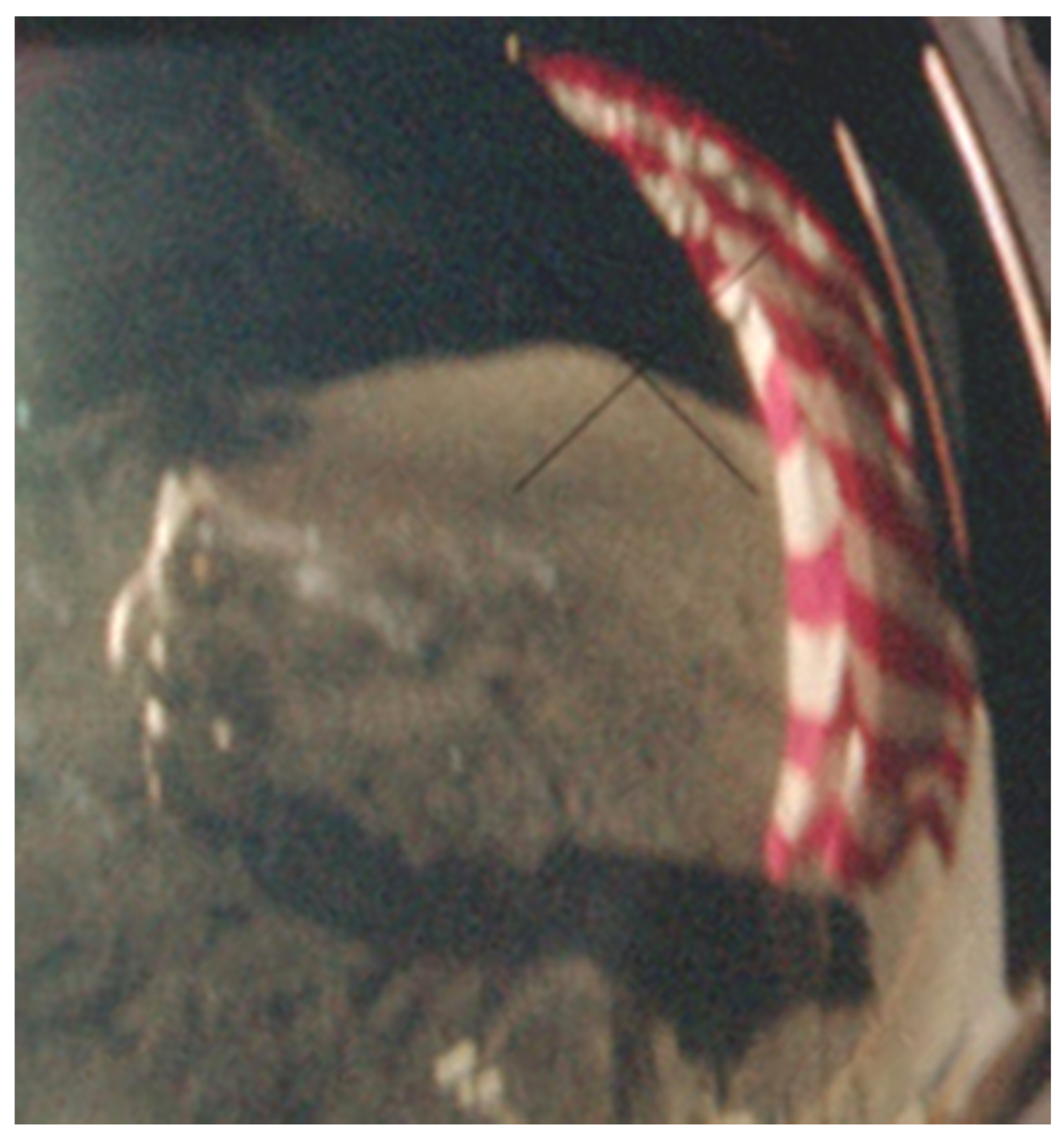 Designs 05 00008 g016