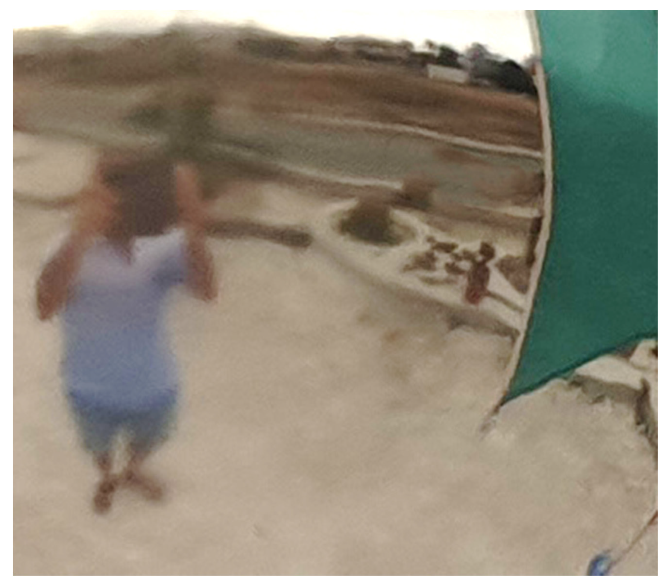 Designs 05 00008 g019