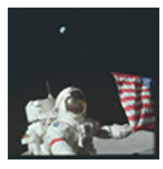 Designs 05 00008 i001