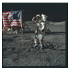 Designs 05 00008 i003