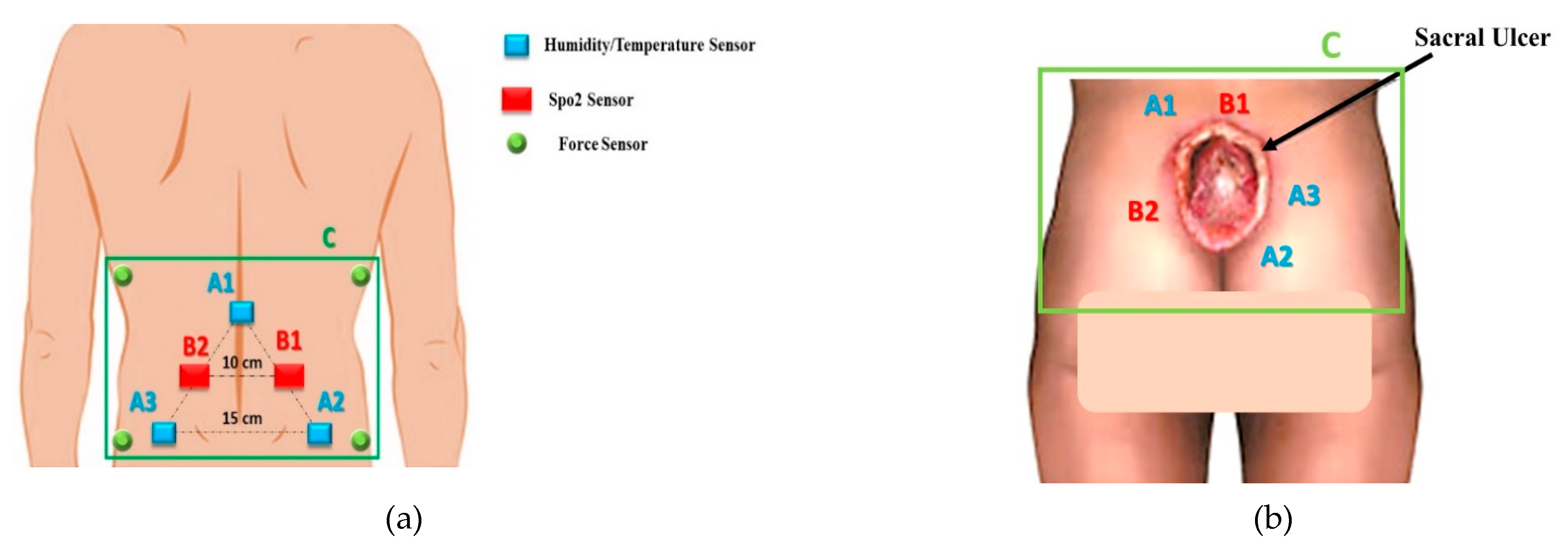 Designs 05 00047 g008