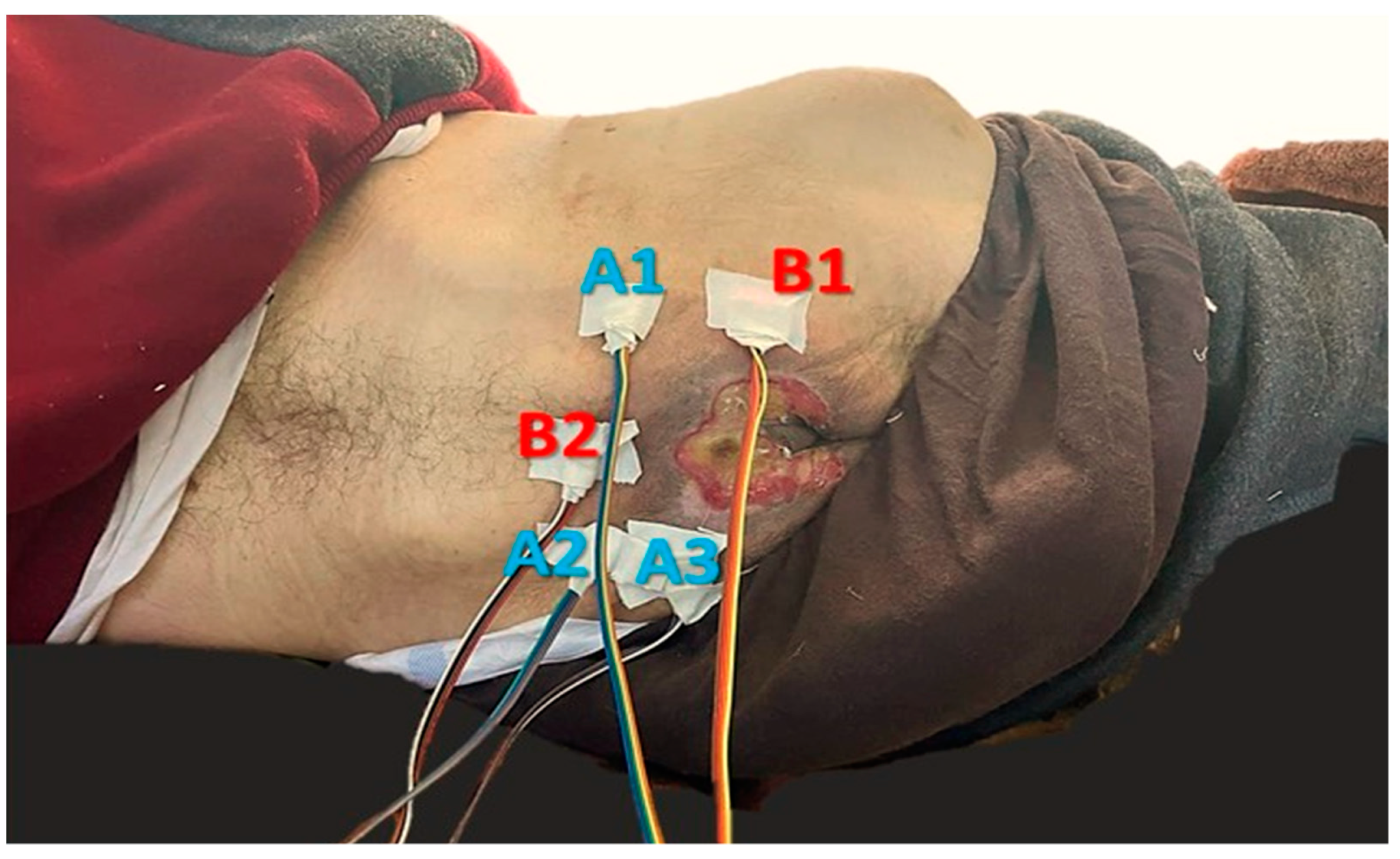 Designs 05 00047 g013