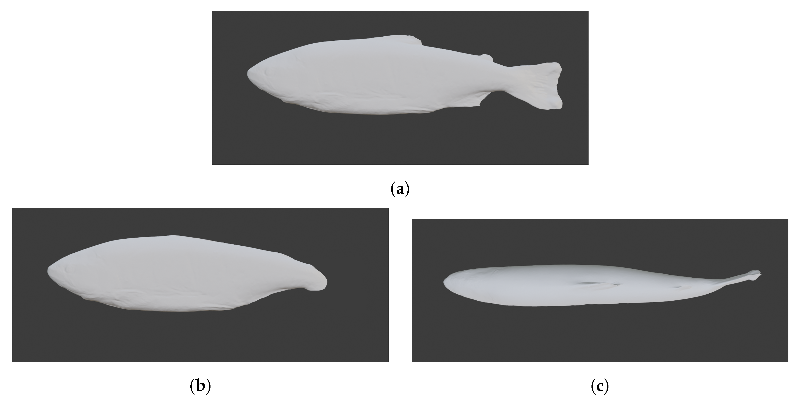 Designs 05 00069 g002