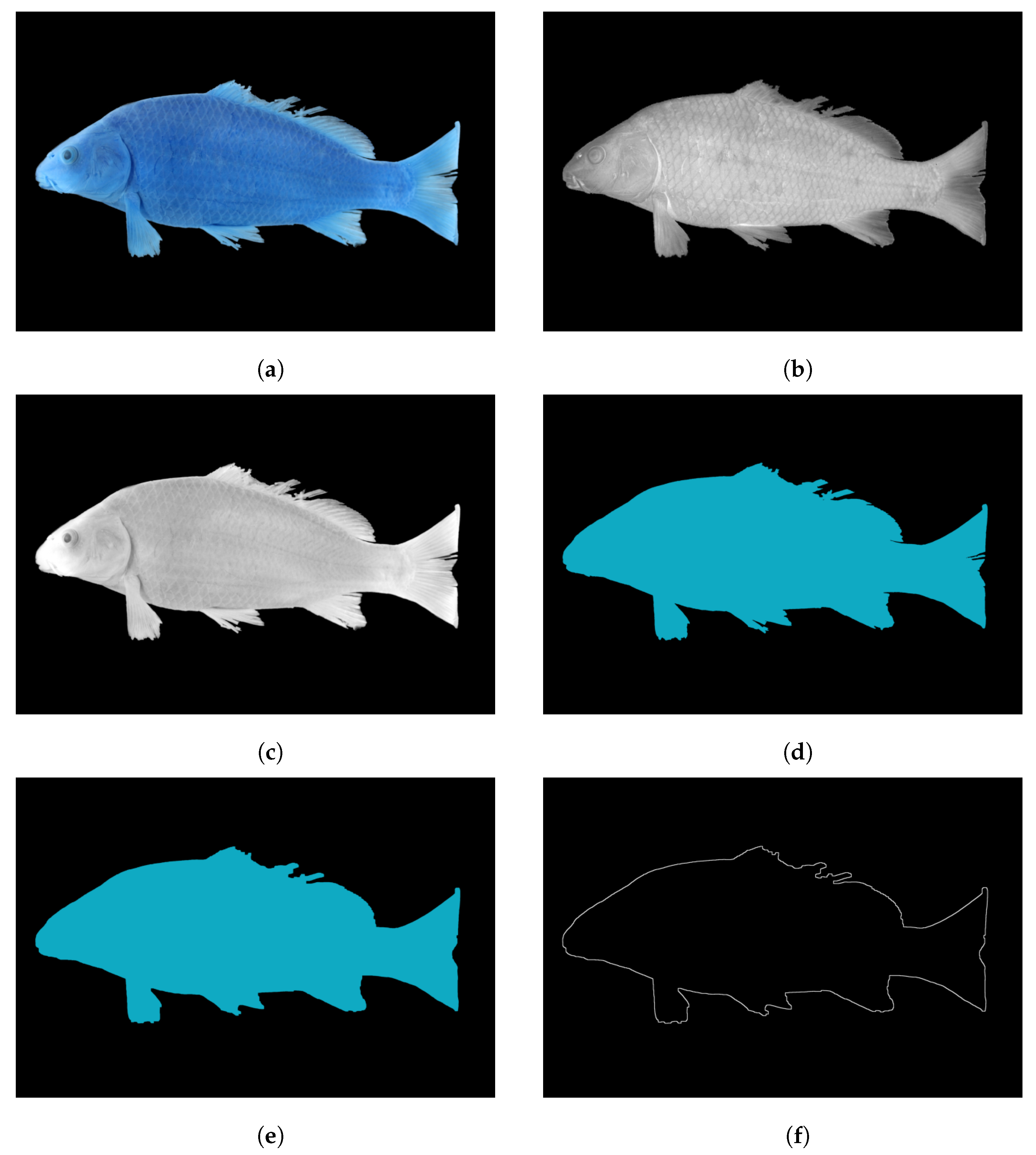 Designs 05 00069 g004a