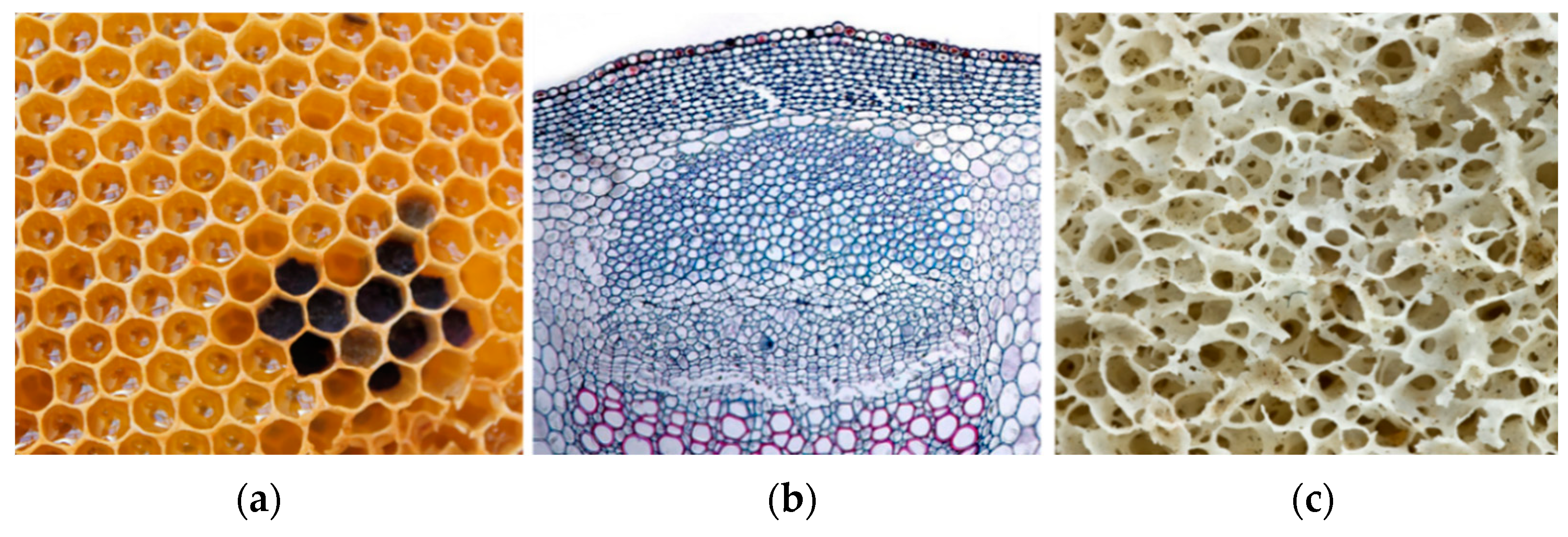 Designs 06 00063 g002